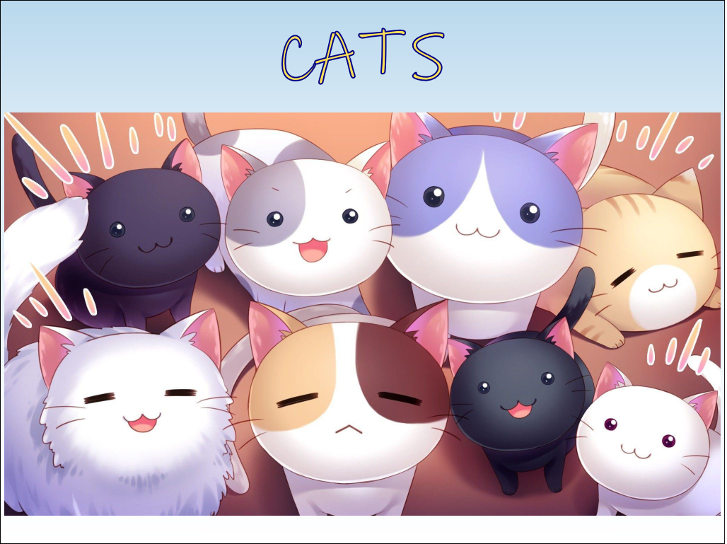 Cats
