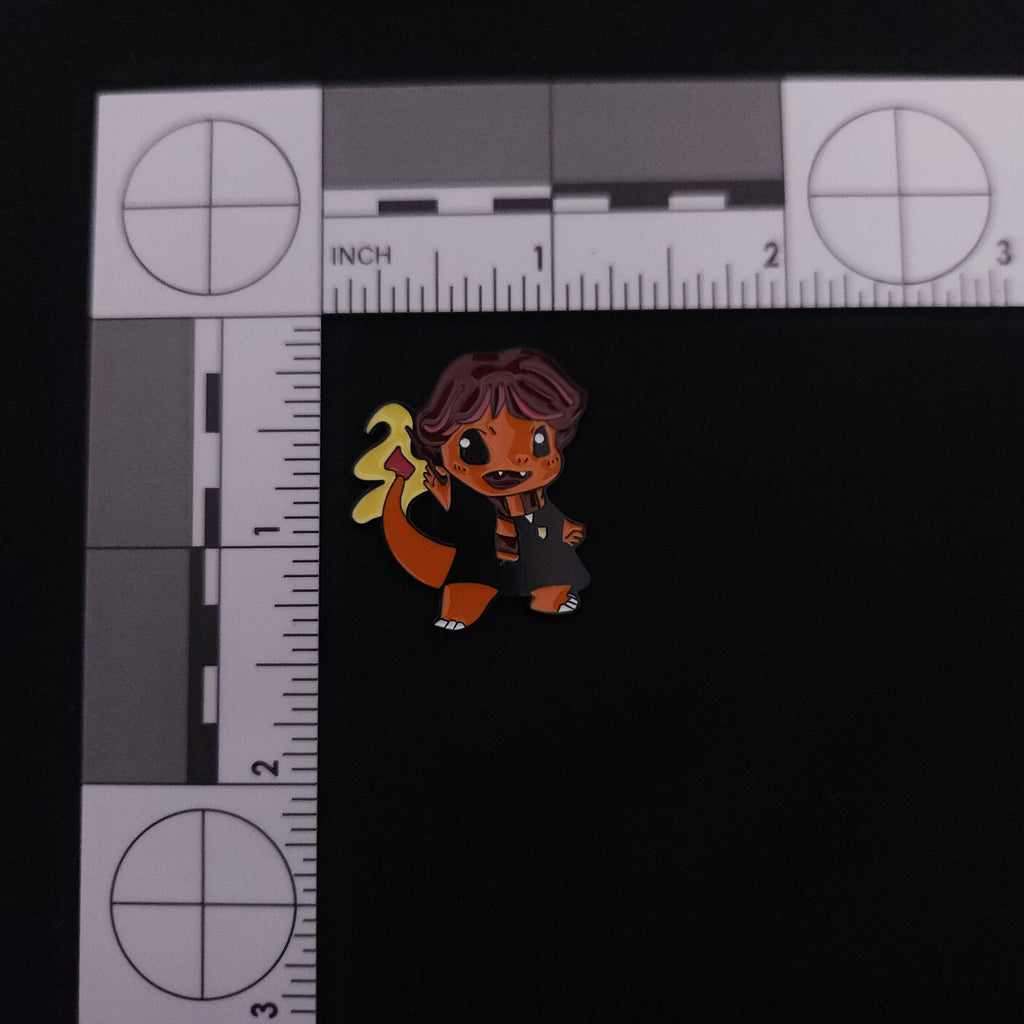 Harry Potter / Pokemon Character Pins