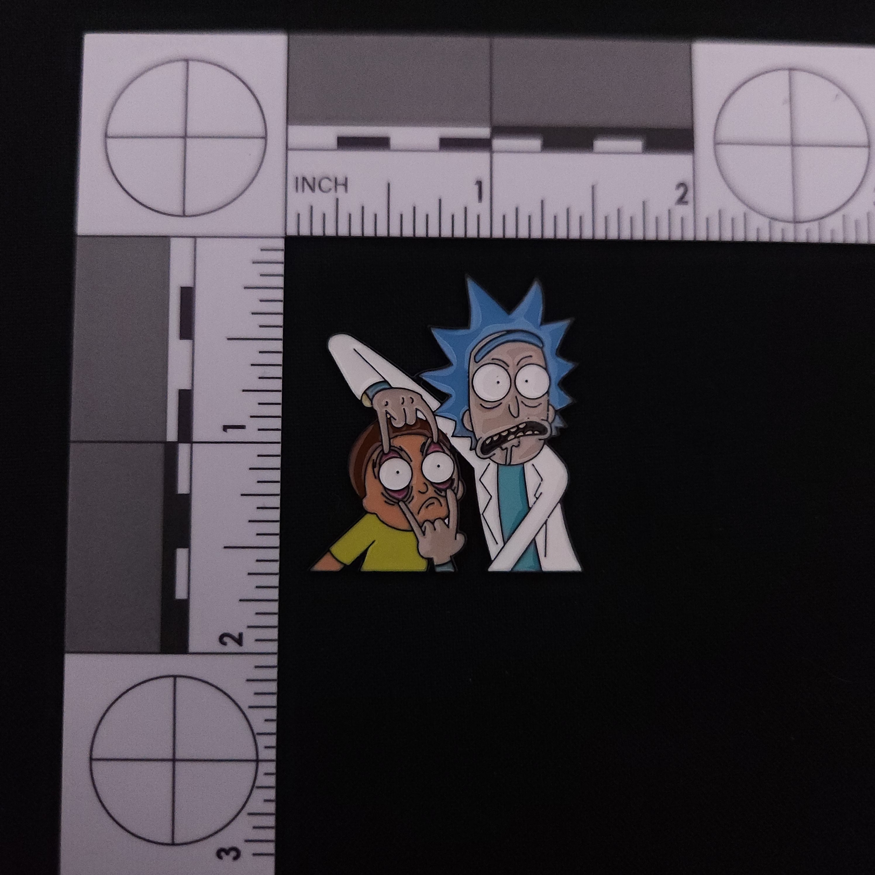 Rick and Morty Look Pin
