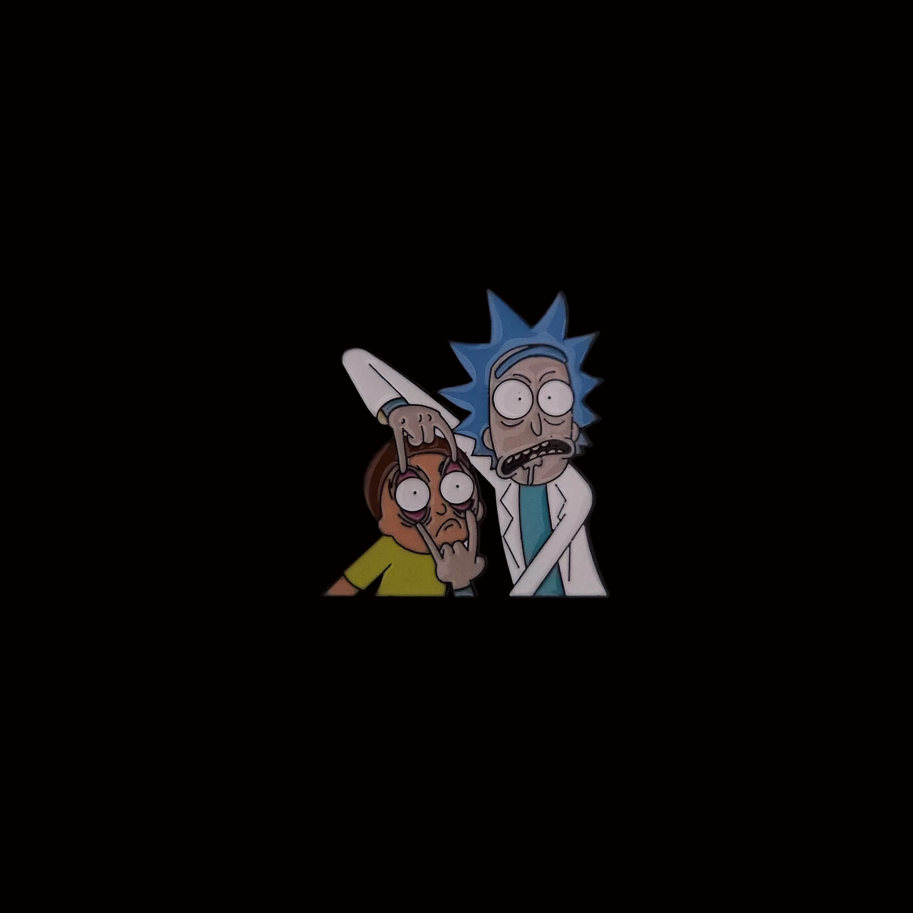 Rick and Morty Look Pin