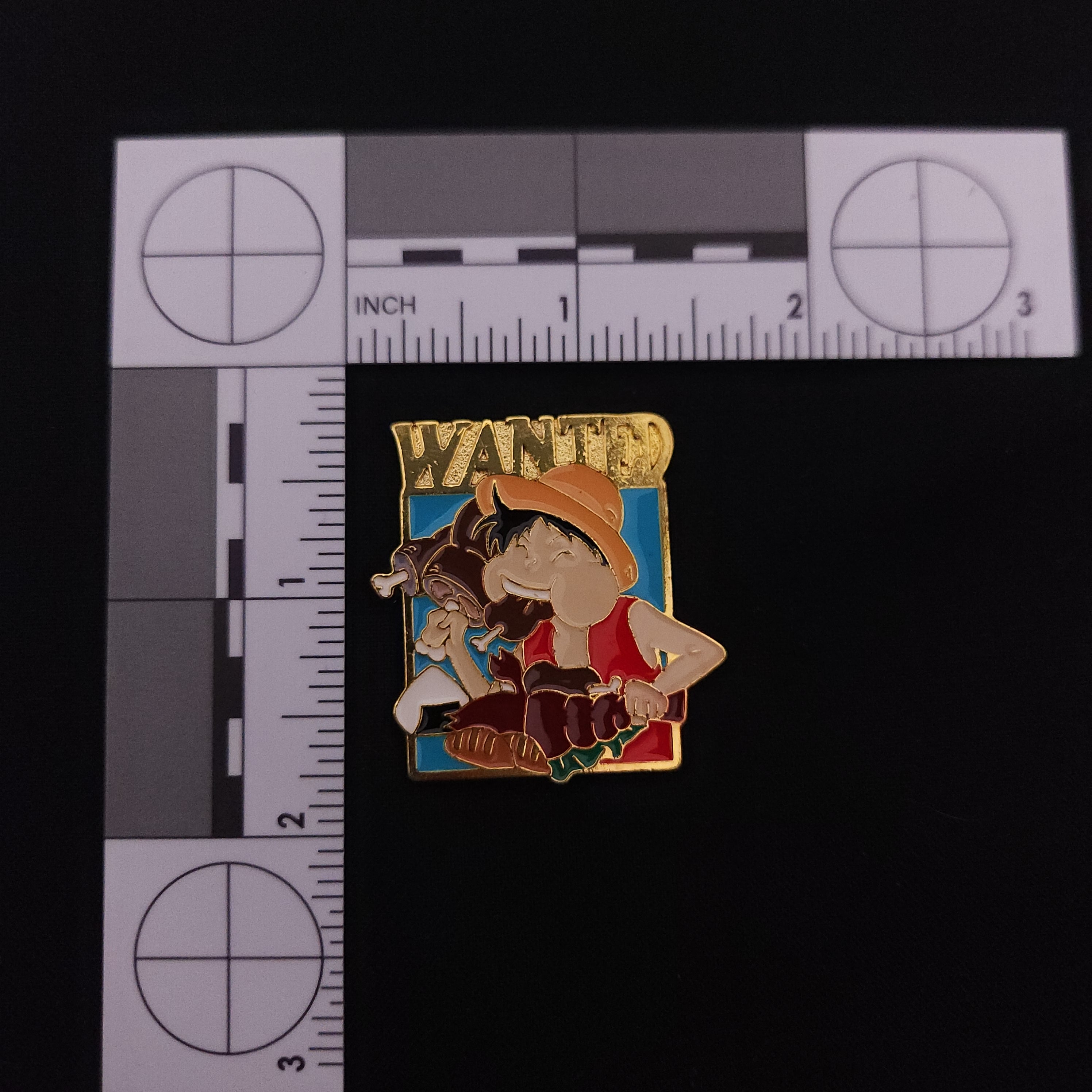 One Piece Wanted Pins