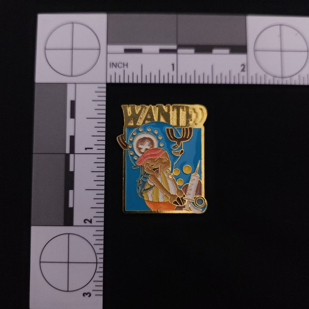 One Piece Wanted Pins