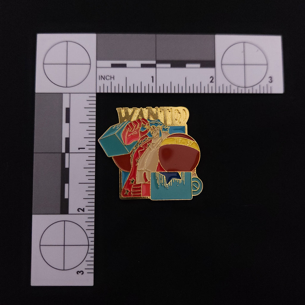One Piece Wanted Pins