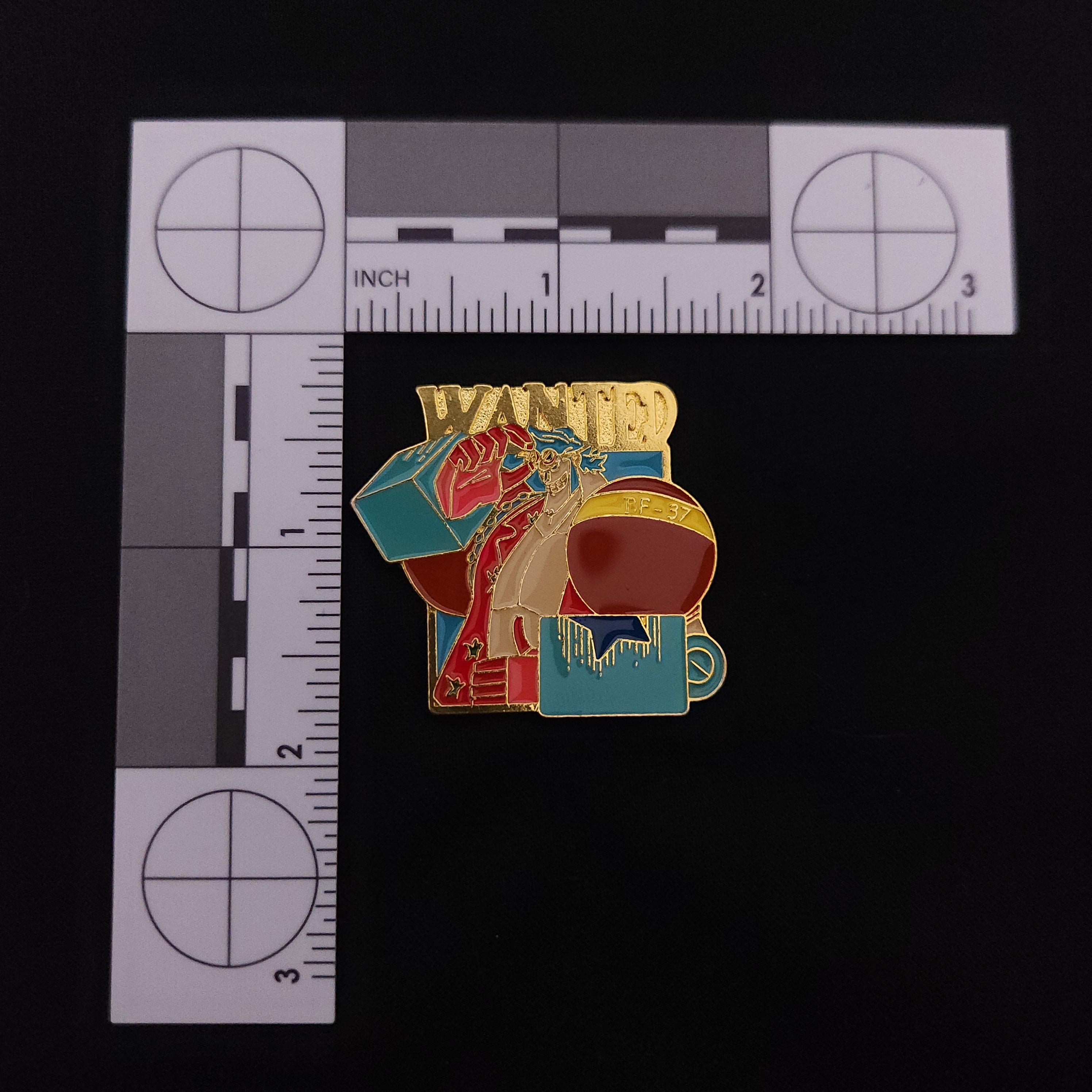 One Piece Wanted Pins