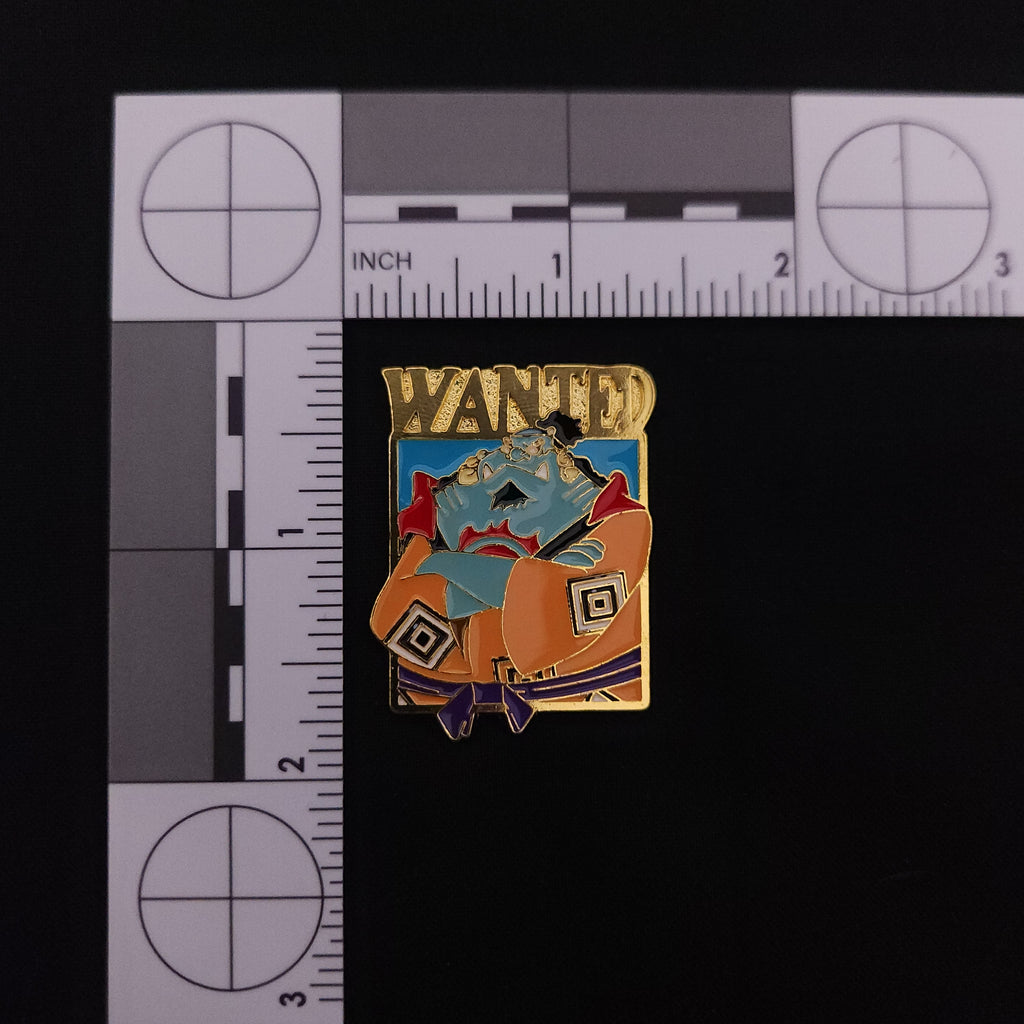 One Piece Wanted Pins