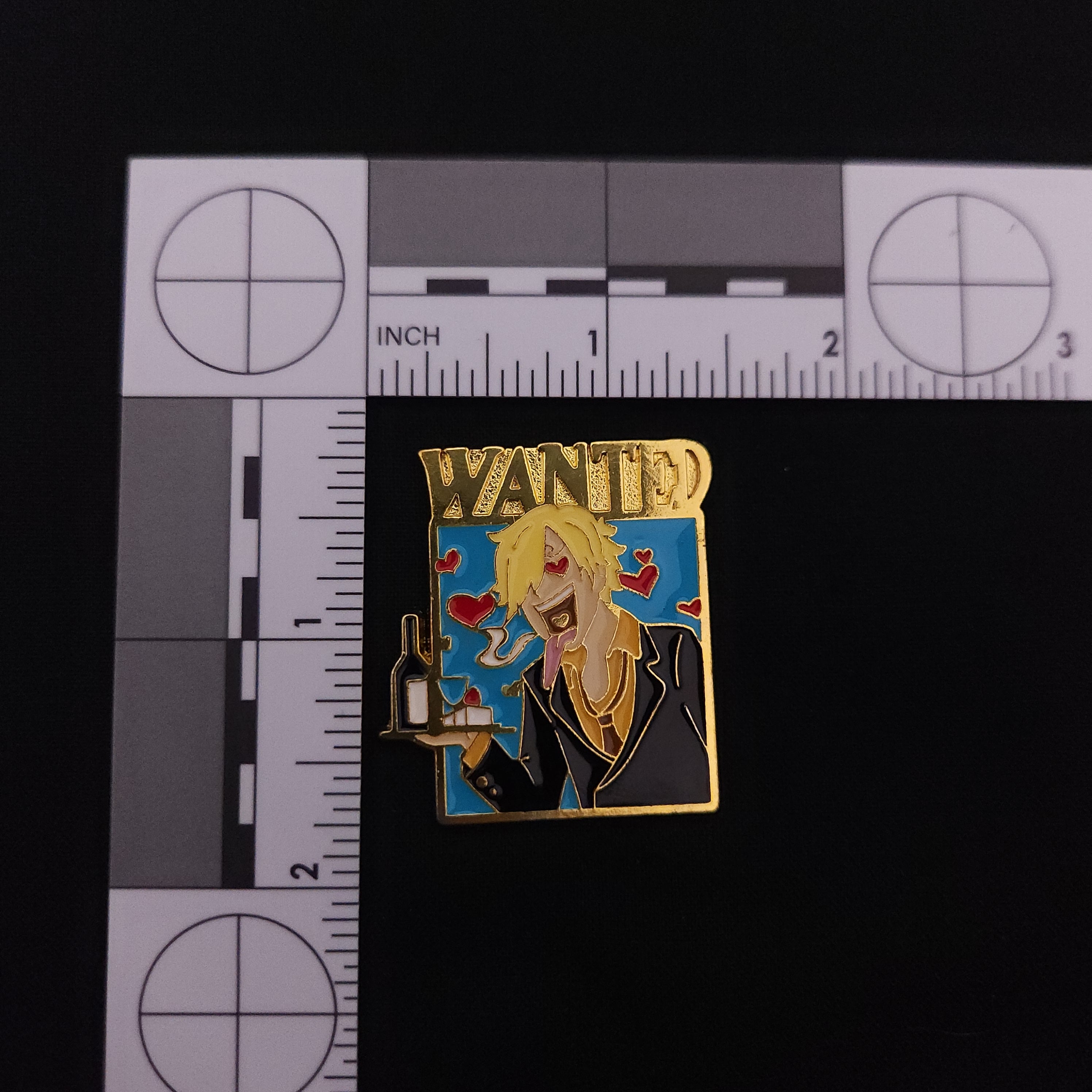 One Piece Wanted Pins