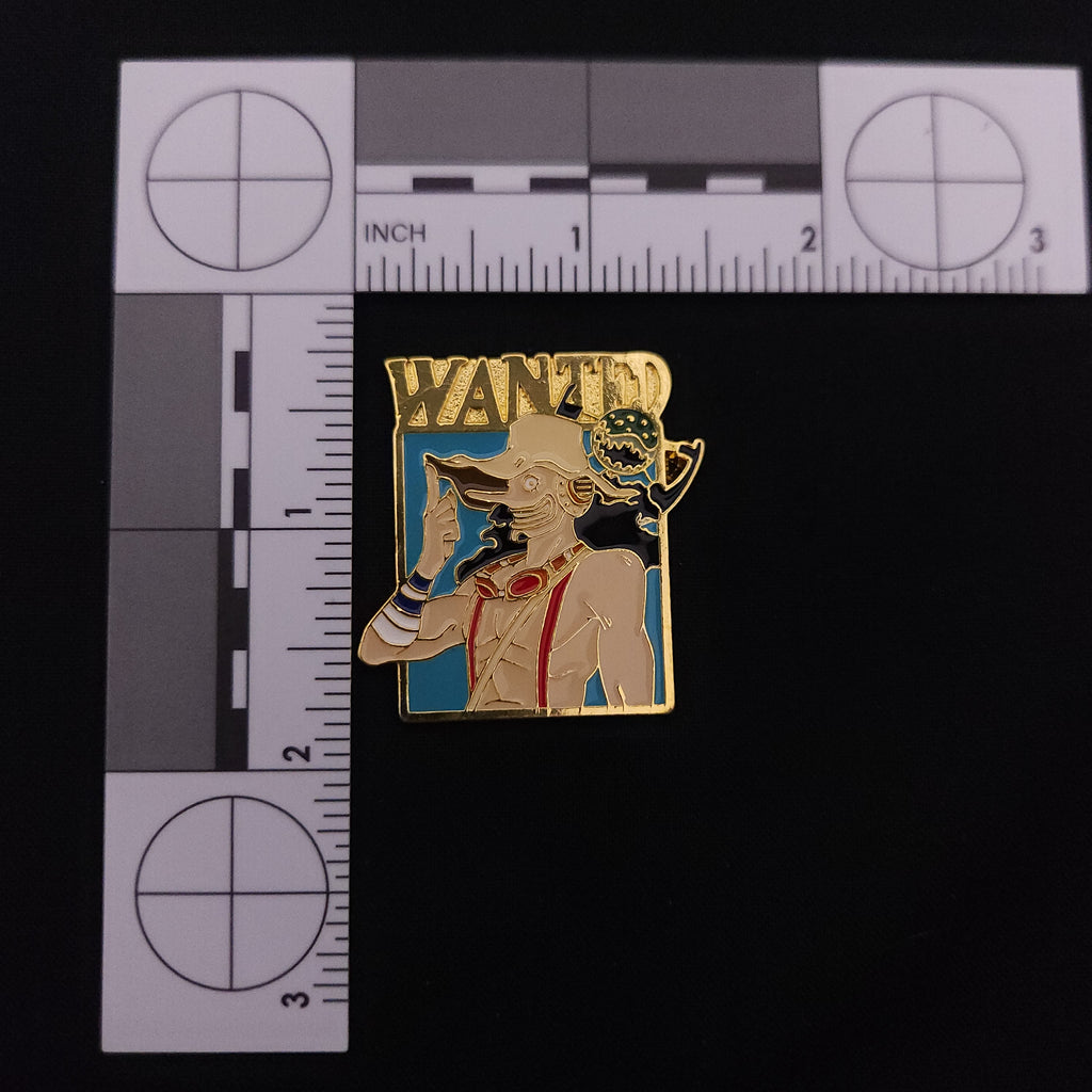 One Piece Wanted Pins