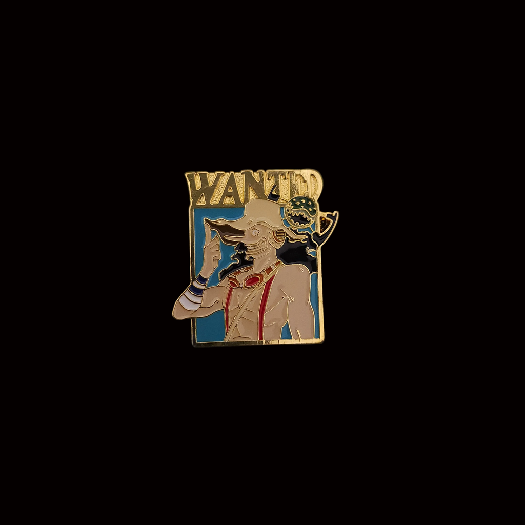 One Piece Wanted Pins