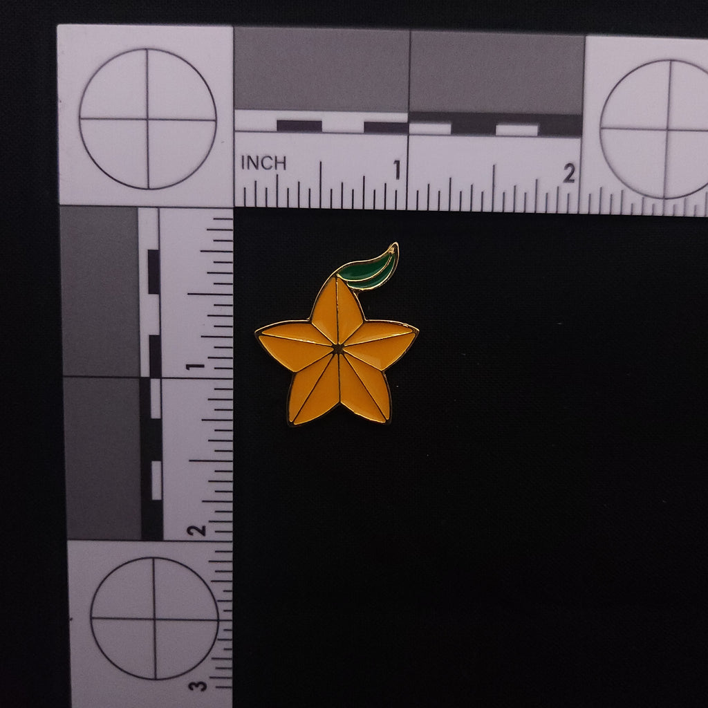 Kingdom Hearts Paopu Fruit Pin