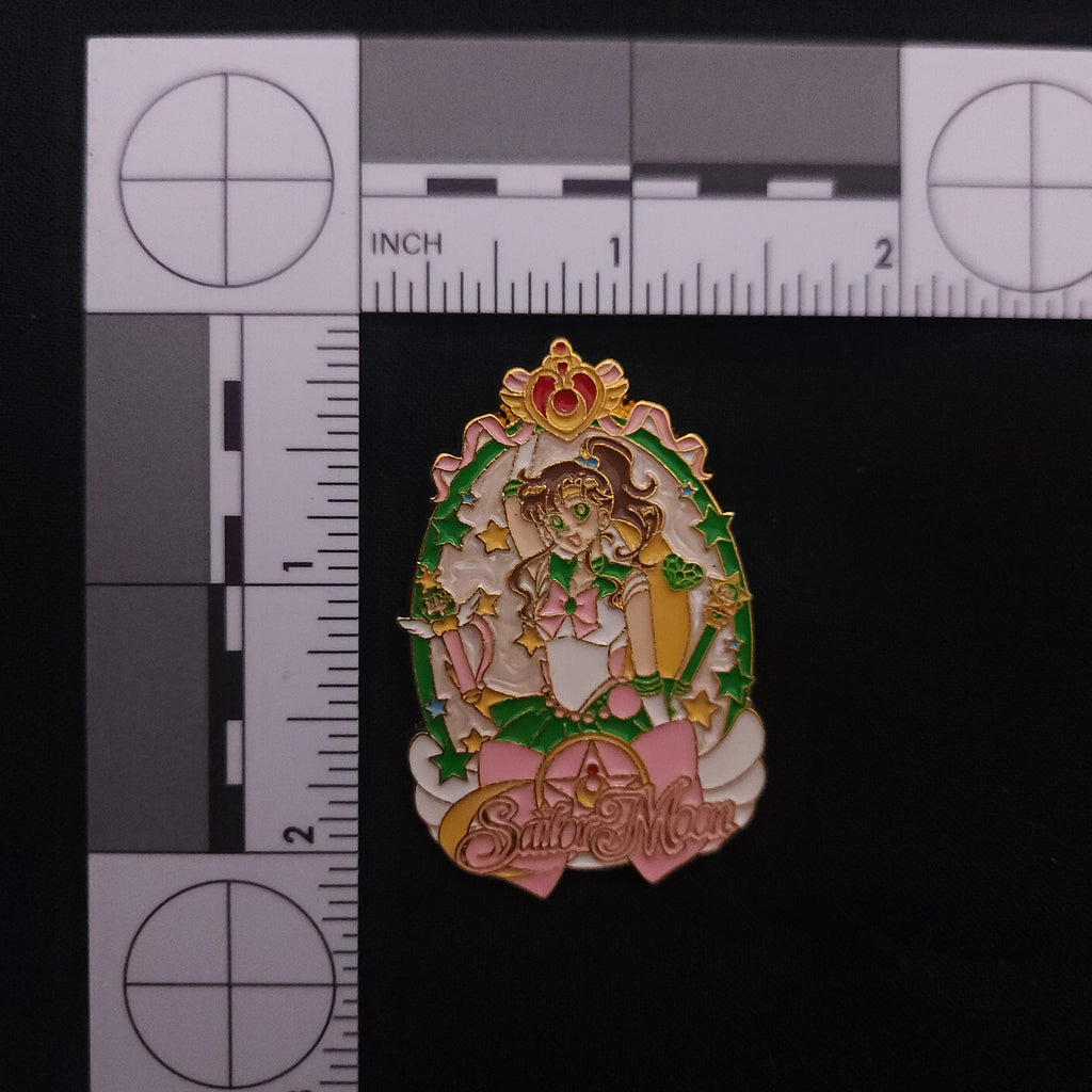Sailor Moon Picture Pins