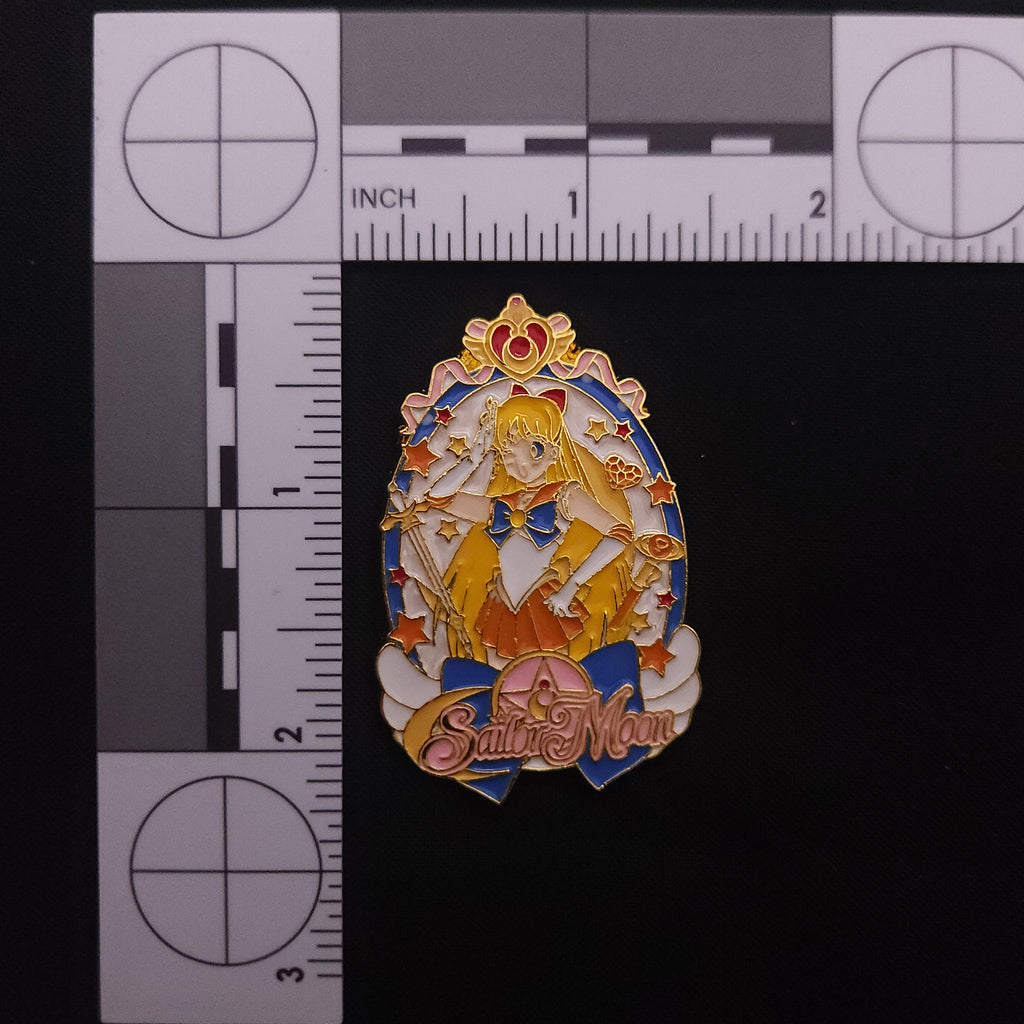 Sailor Moon Picture Pins