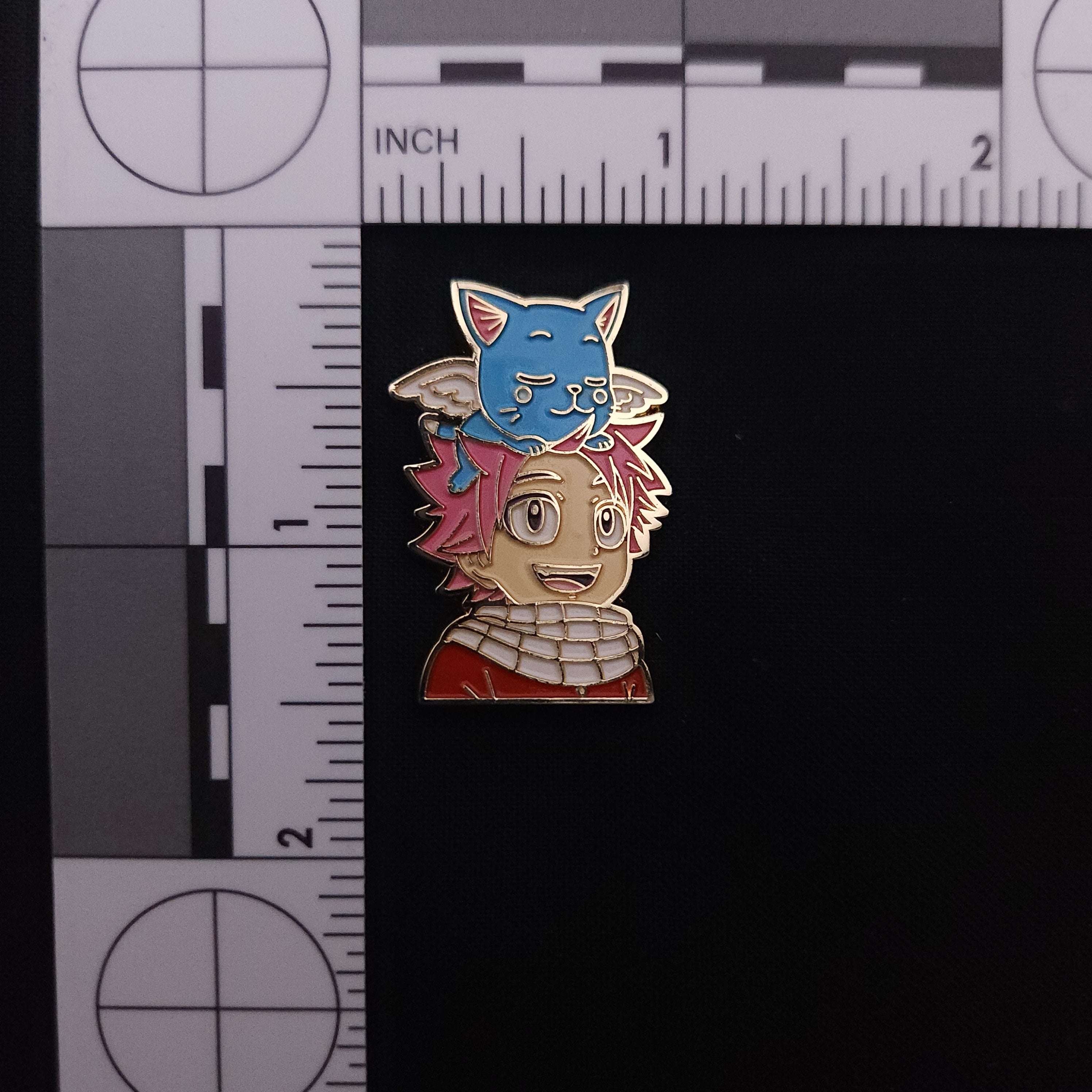 Fairy Tail Natsu and Happy Pin