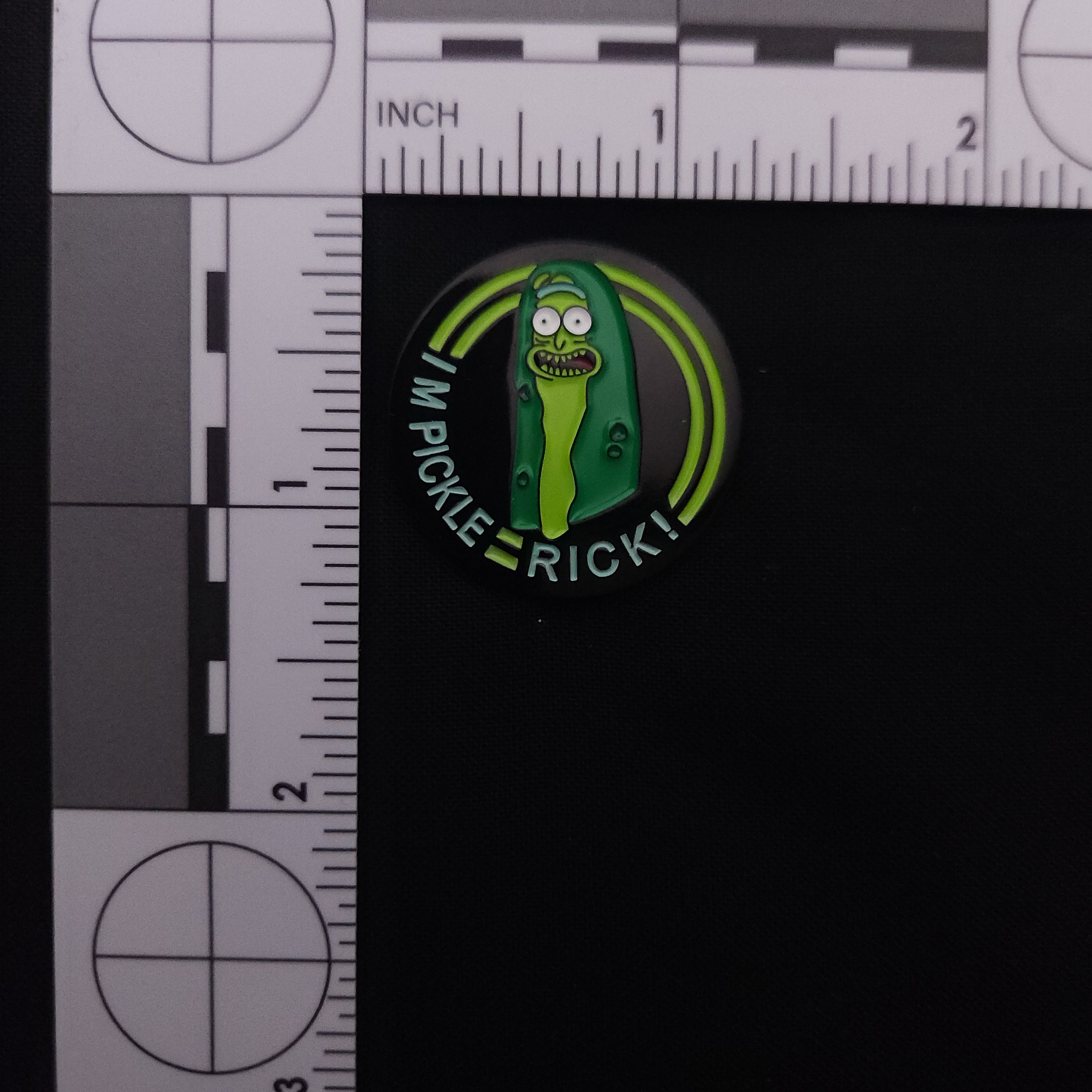 Rick and Morty Pickle Rick Pin
