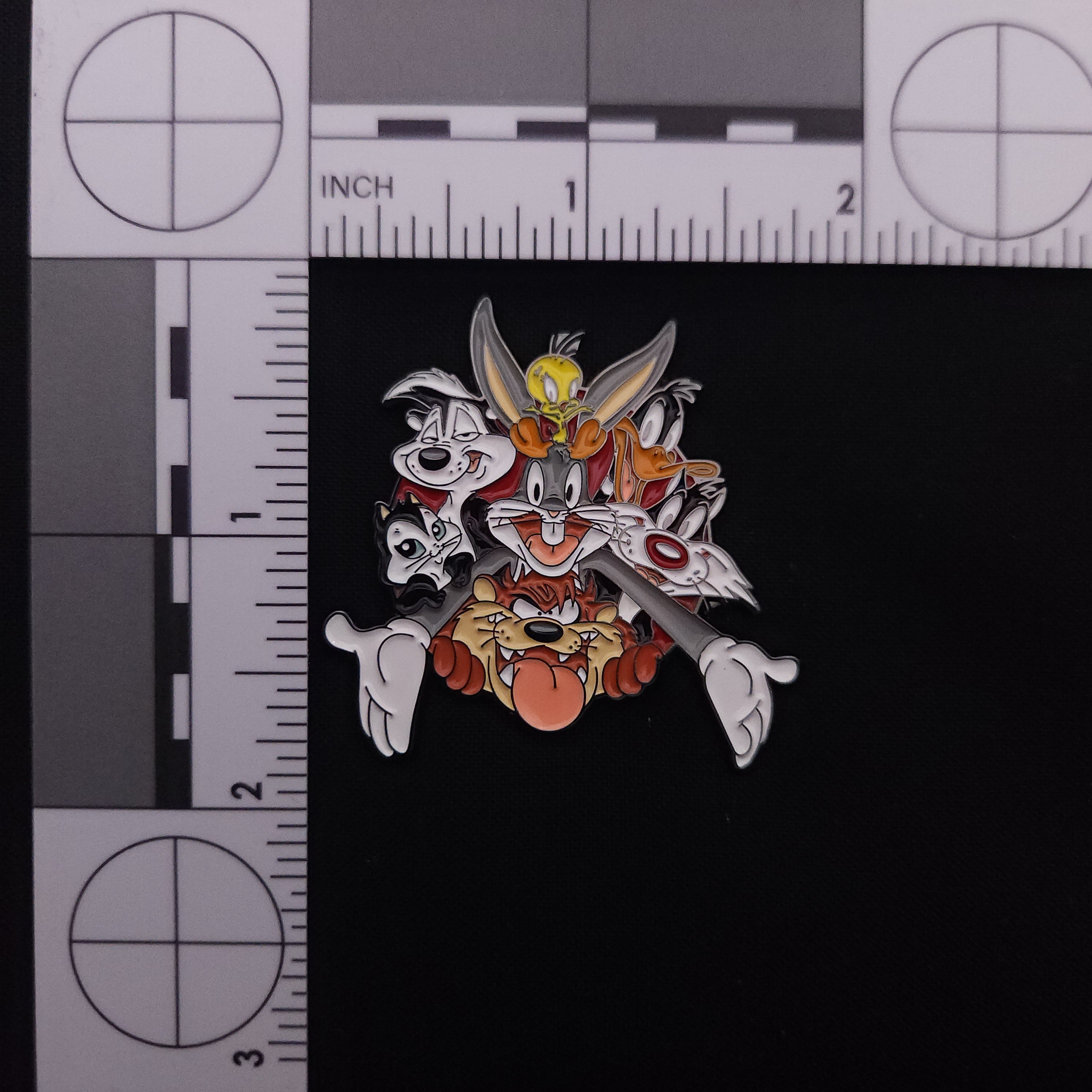 Looney Toons Pin