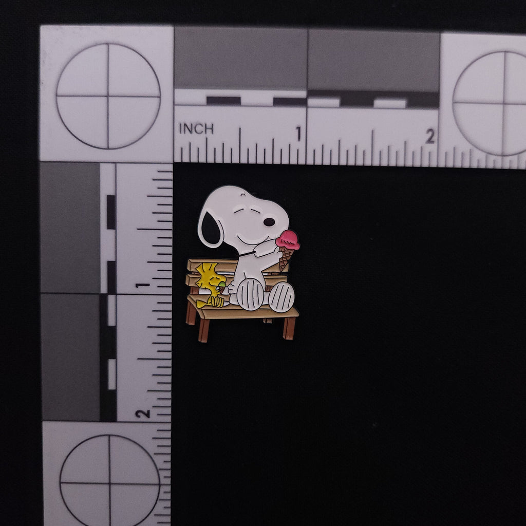 Snoopy and Woodstock Ice Cream Pin