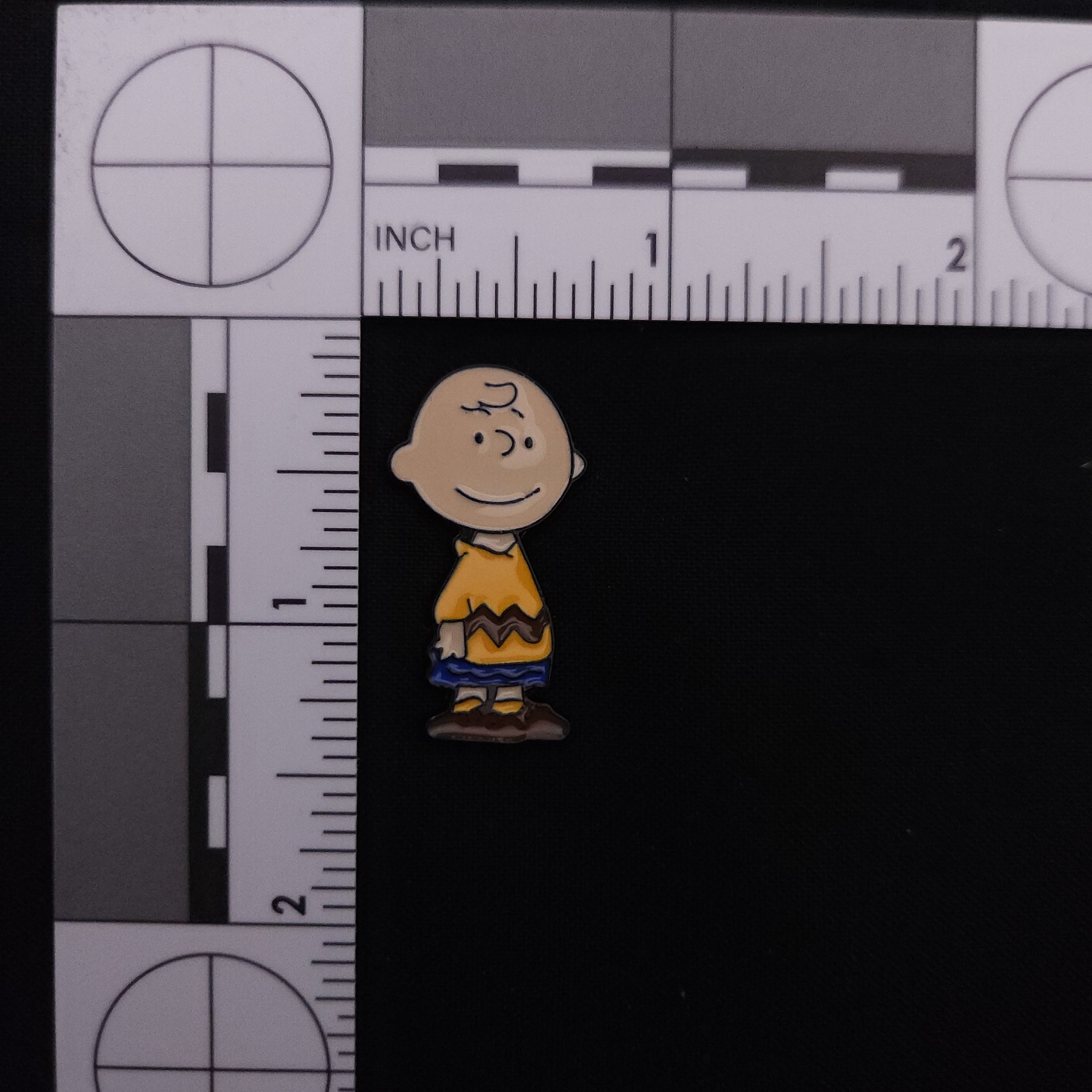 Peanuts Charlie Brown Pin