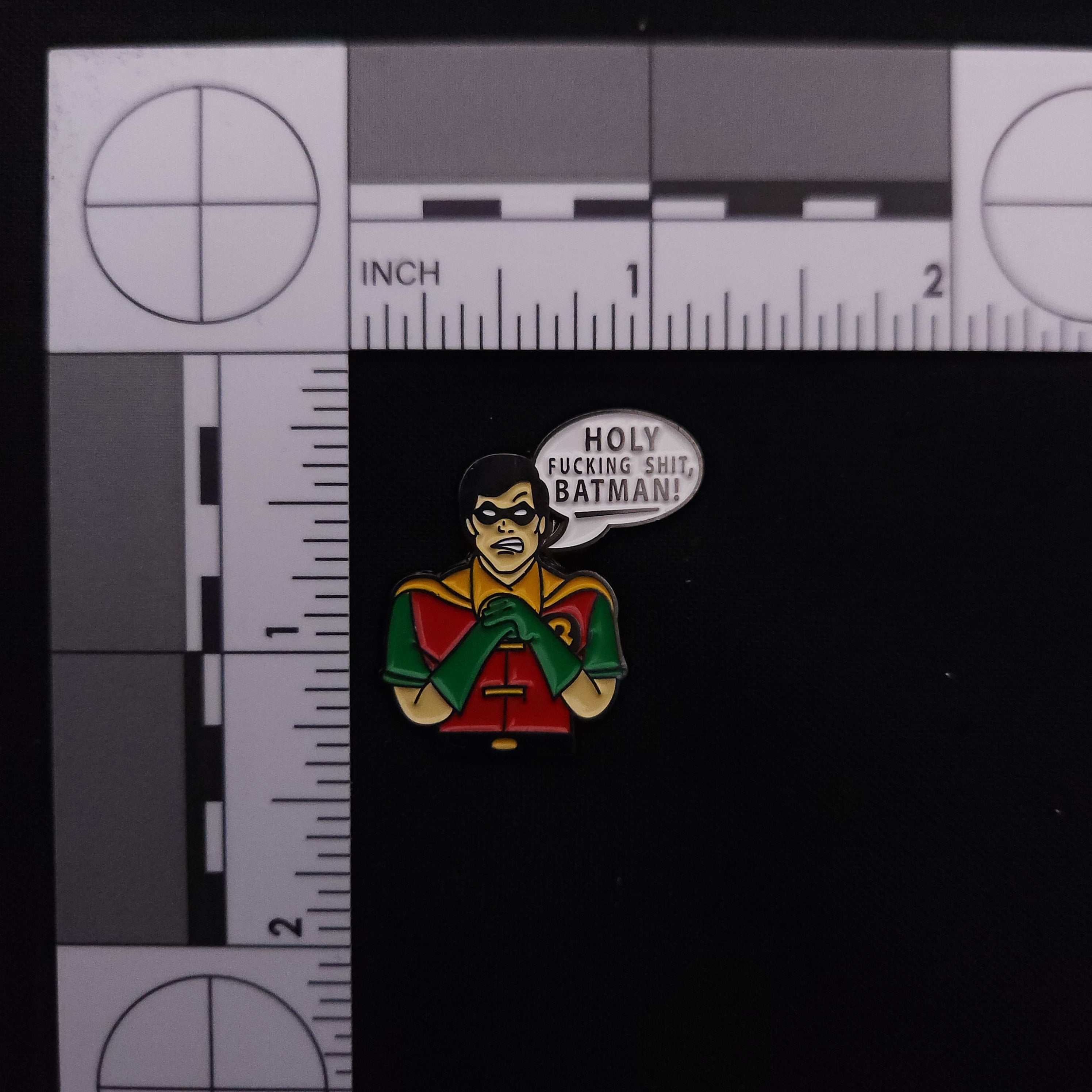 DC Comics Robin Meme Pin