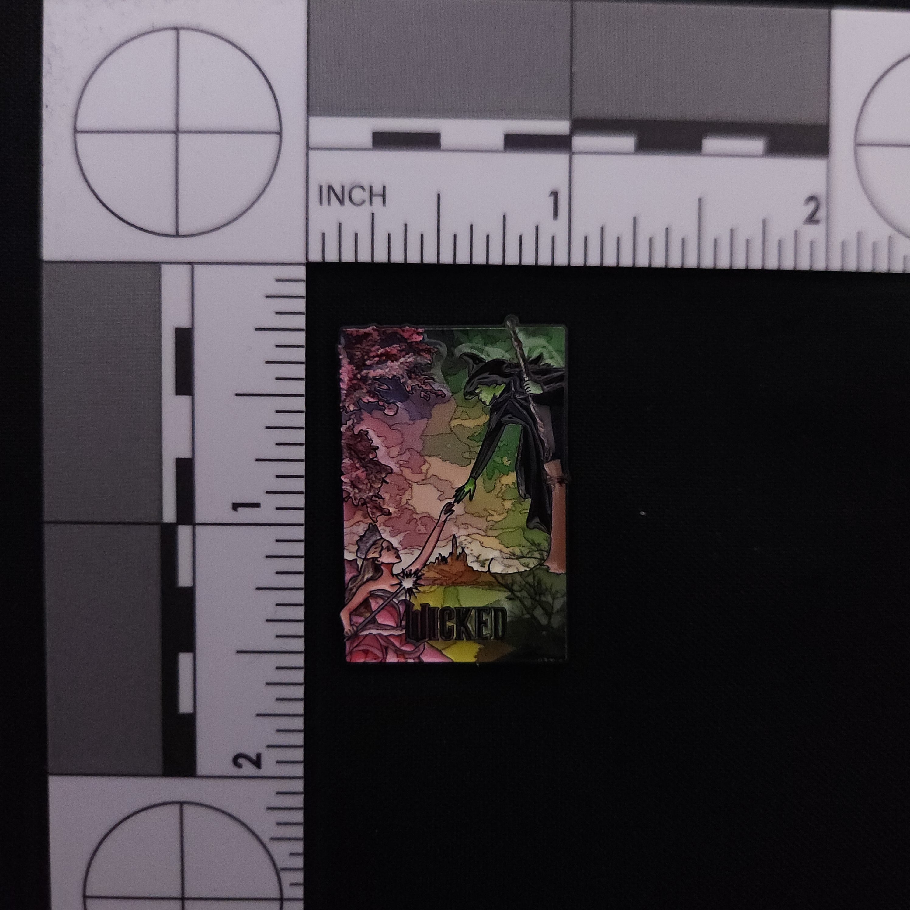 Wicked Poster Pin