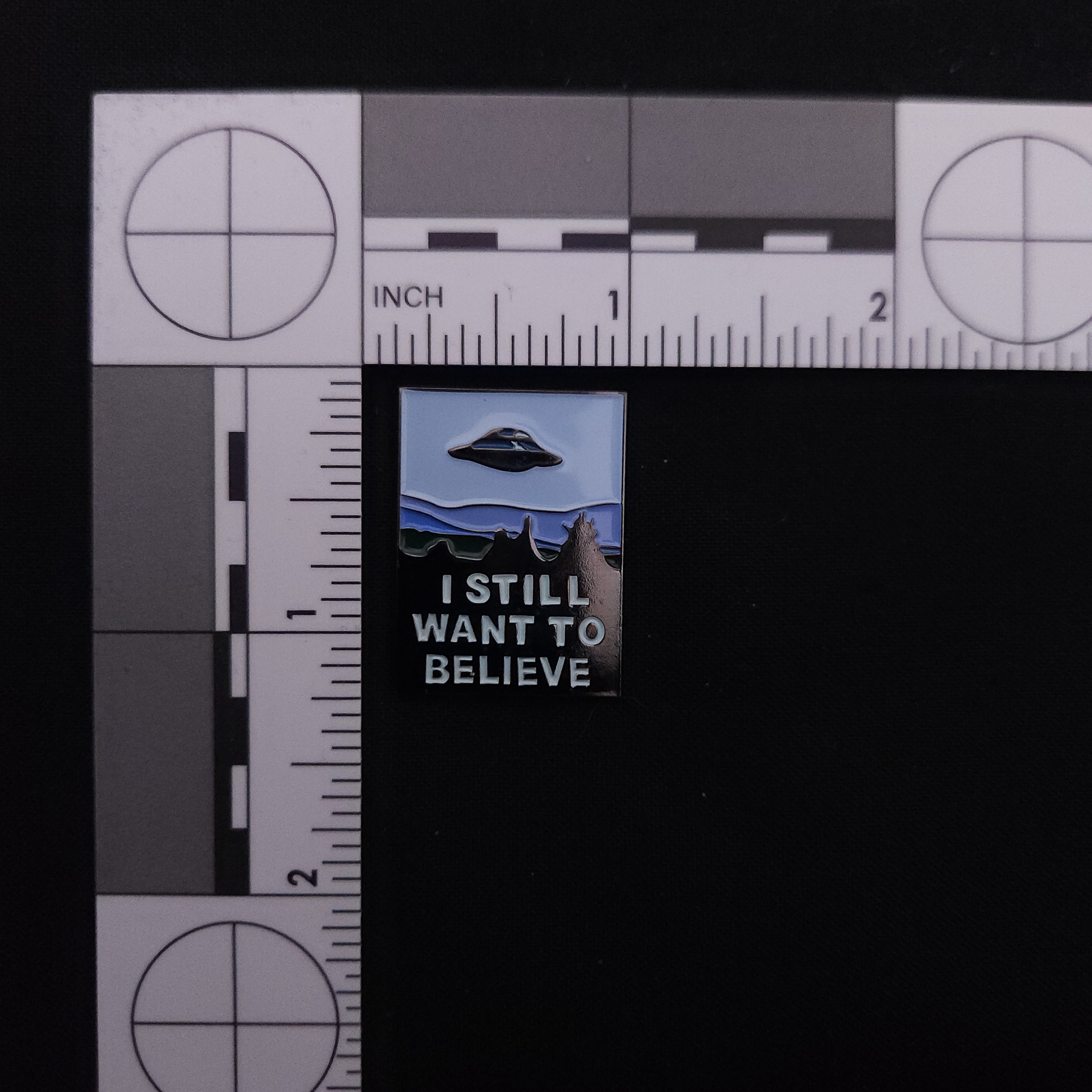 X-Files I Want to Believe Pin