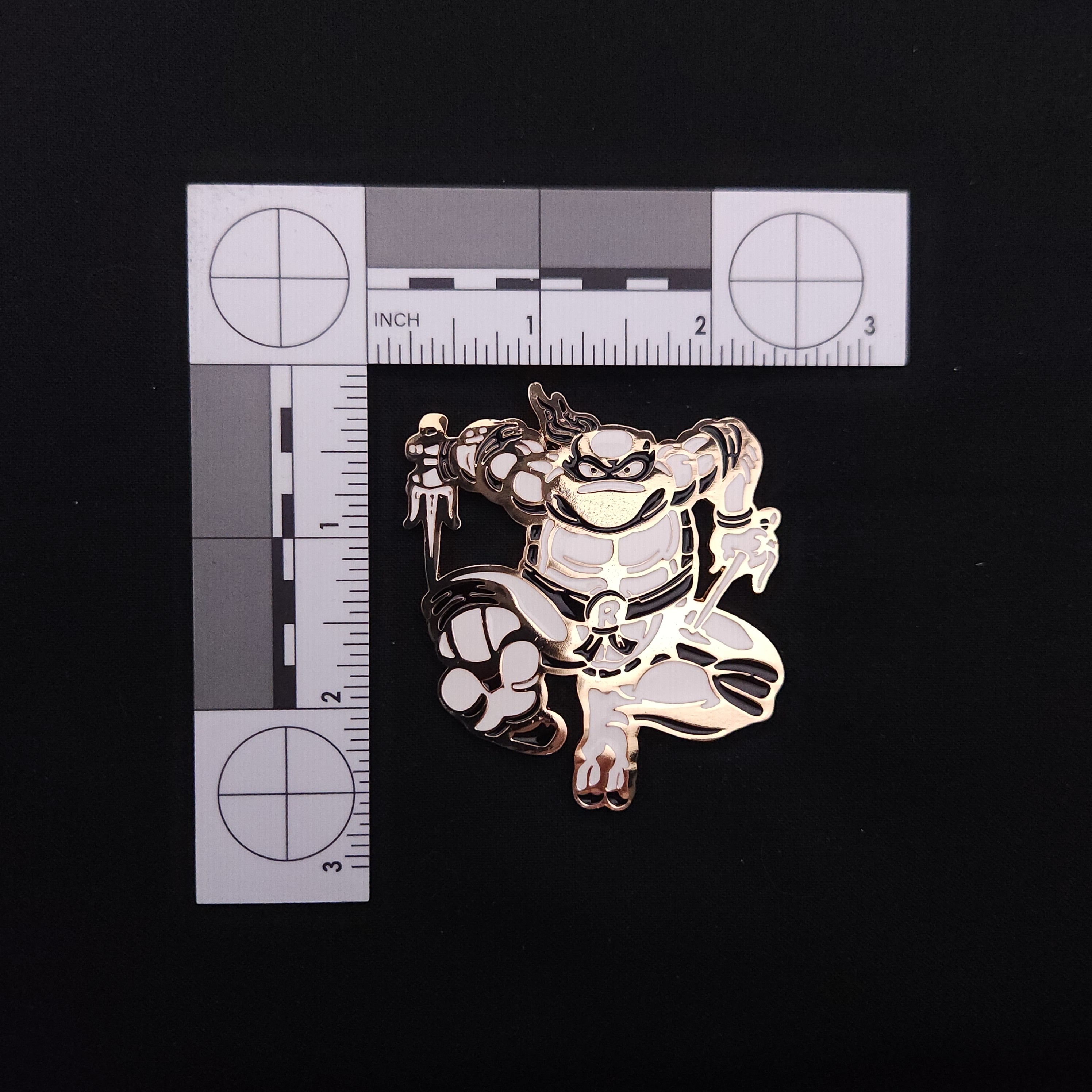 Teenage Mutant Ninja Turtles Gold Pins