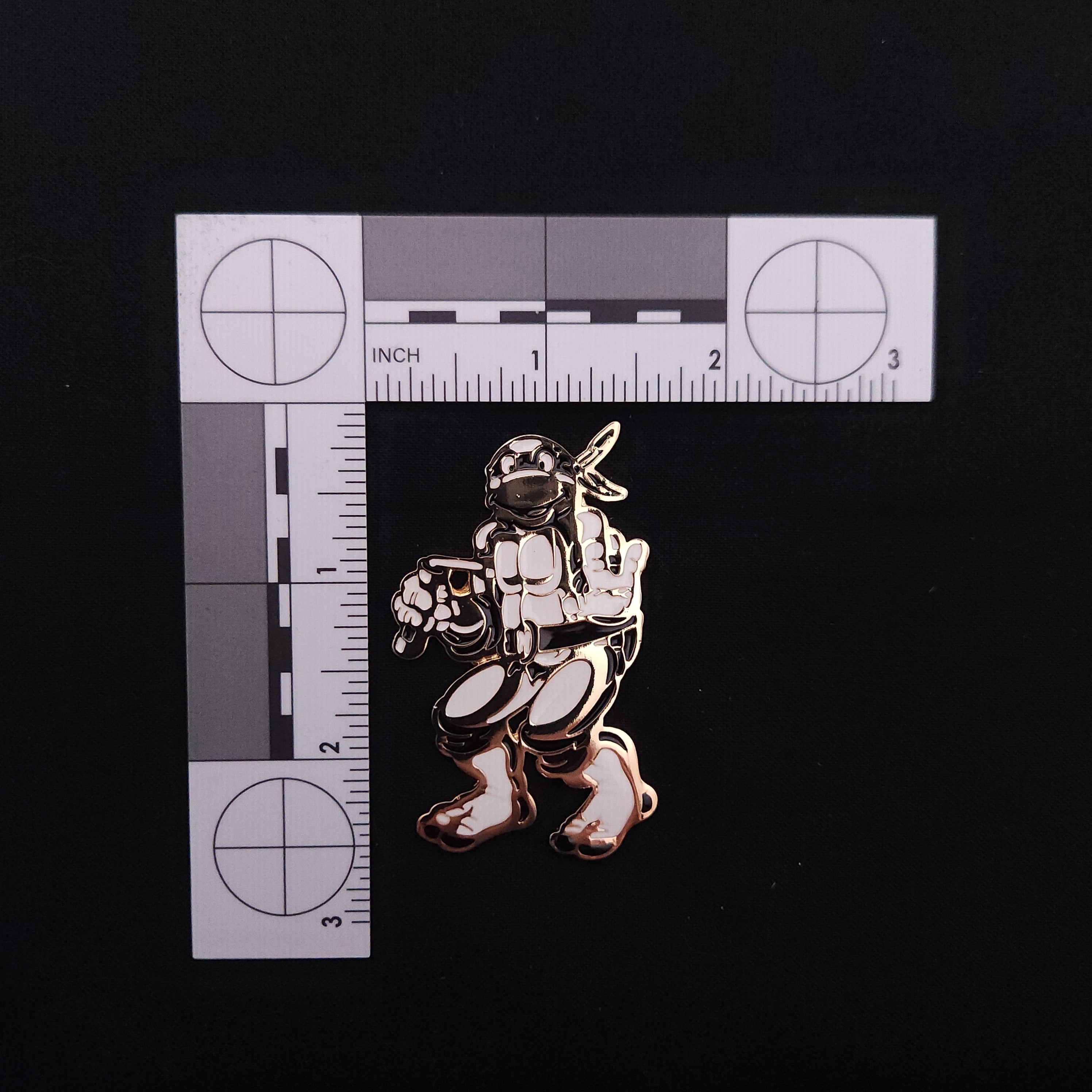 Teenage Mutant Ninja Turtles Gold Pins