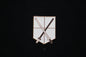 Attack on Titan Trainee Corps Pin