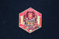 Harry Potter Gryffindor Common Room Pin