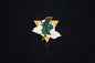 Demon Slayer Zenitsu Thunder Breathing Pin