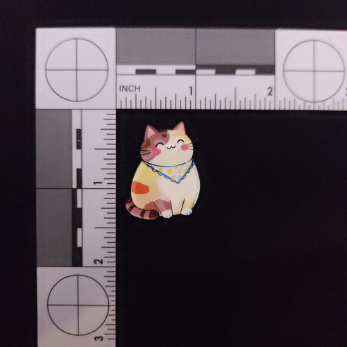 Cats Rainbow Cats Pin