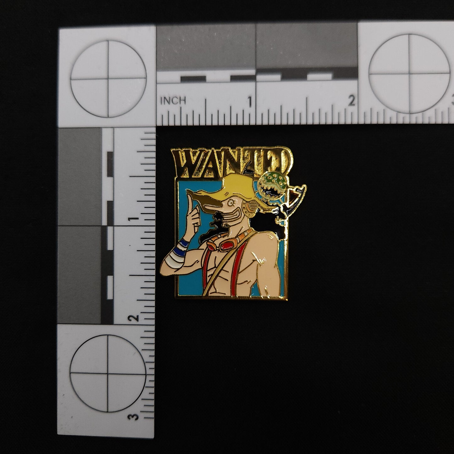 One Piece Wanted Pins