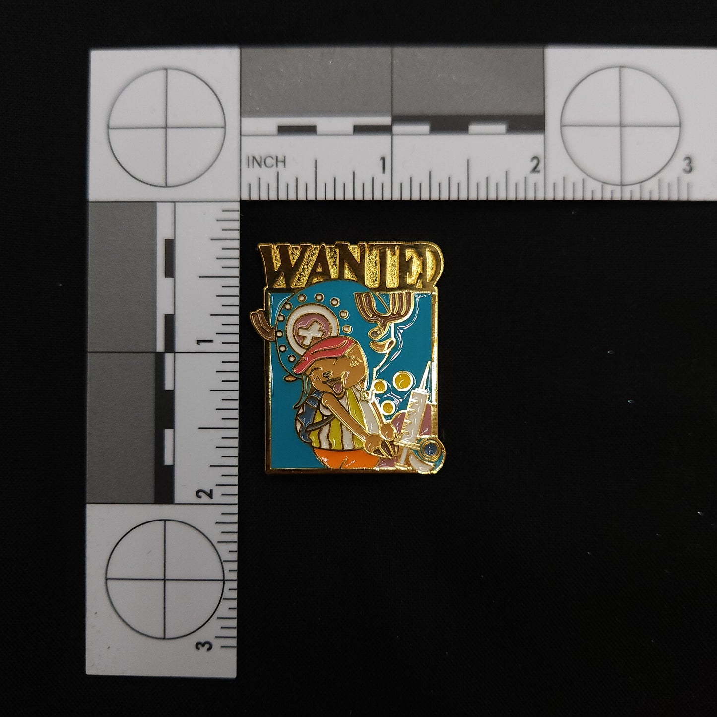 One Piece Wanted Pins