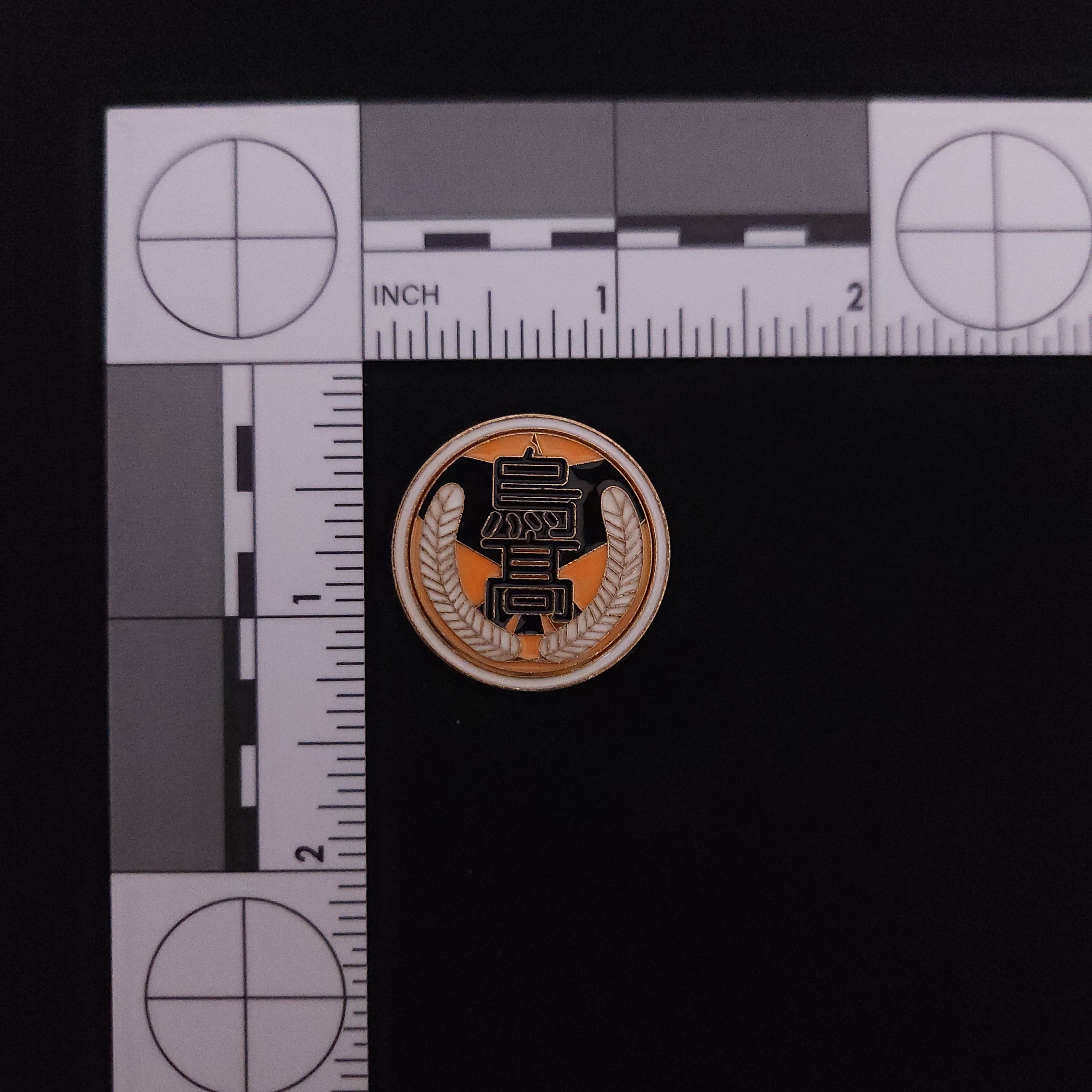 Haikyu !! Karasuno Pin