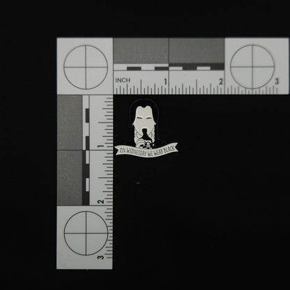 The Addams Family Wednesday Pin