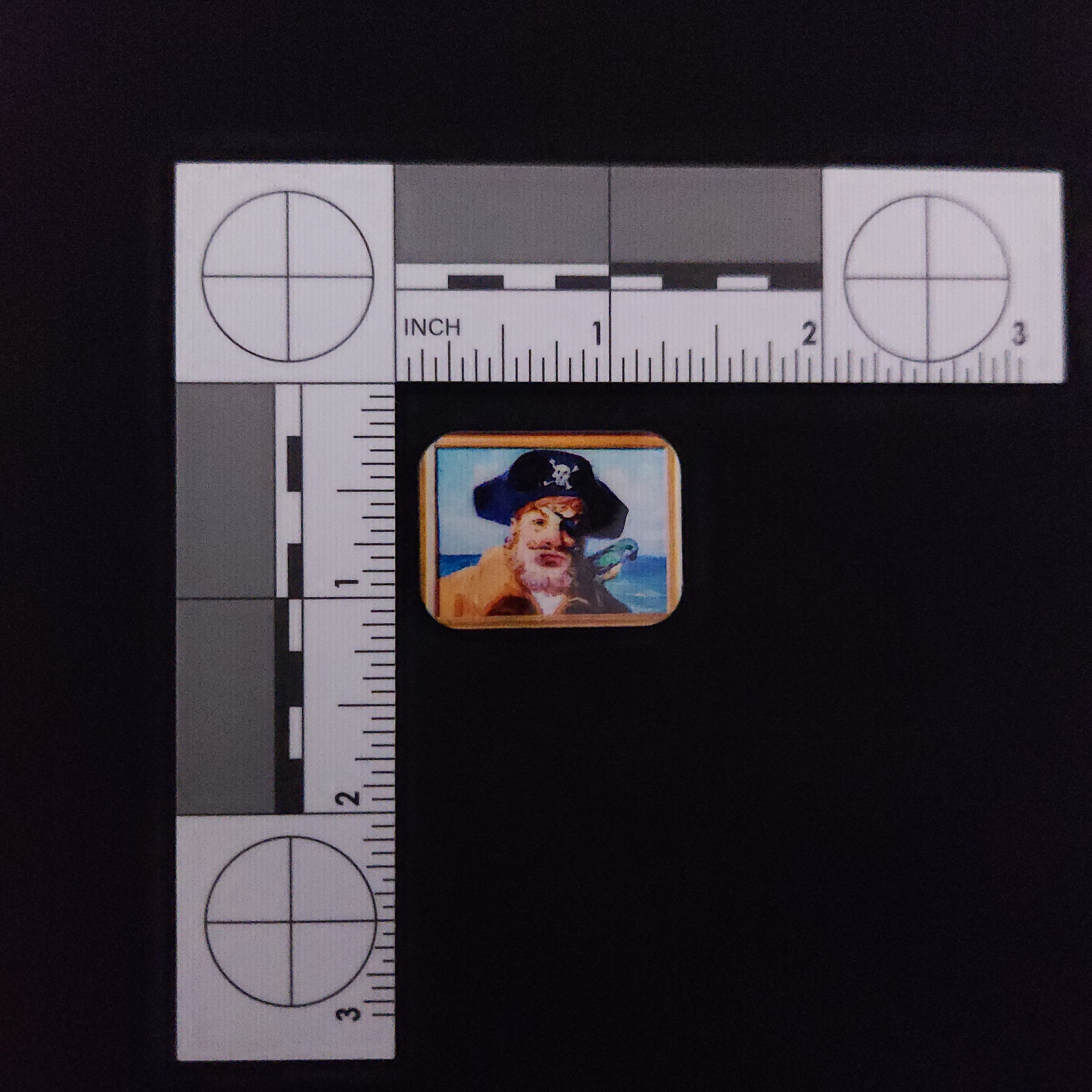 SpongeBob Square Pants Painty the Pirate Picture Pin