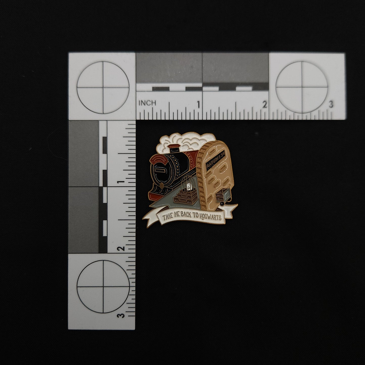 Harry Potter Take Me Back to Hogwarts Pin