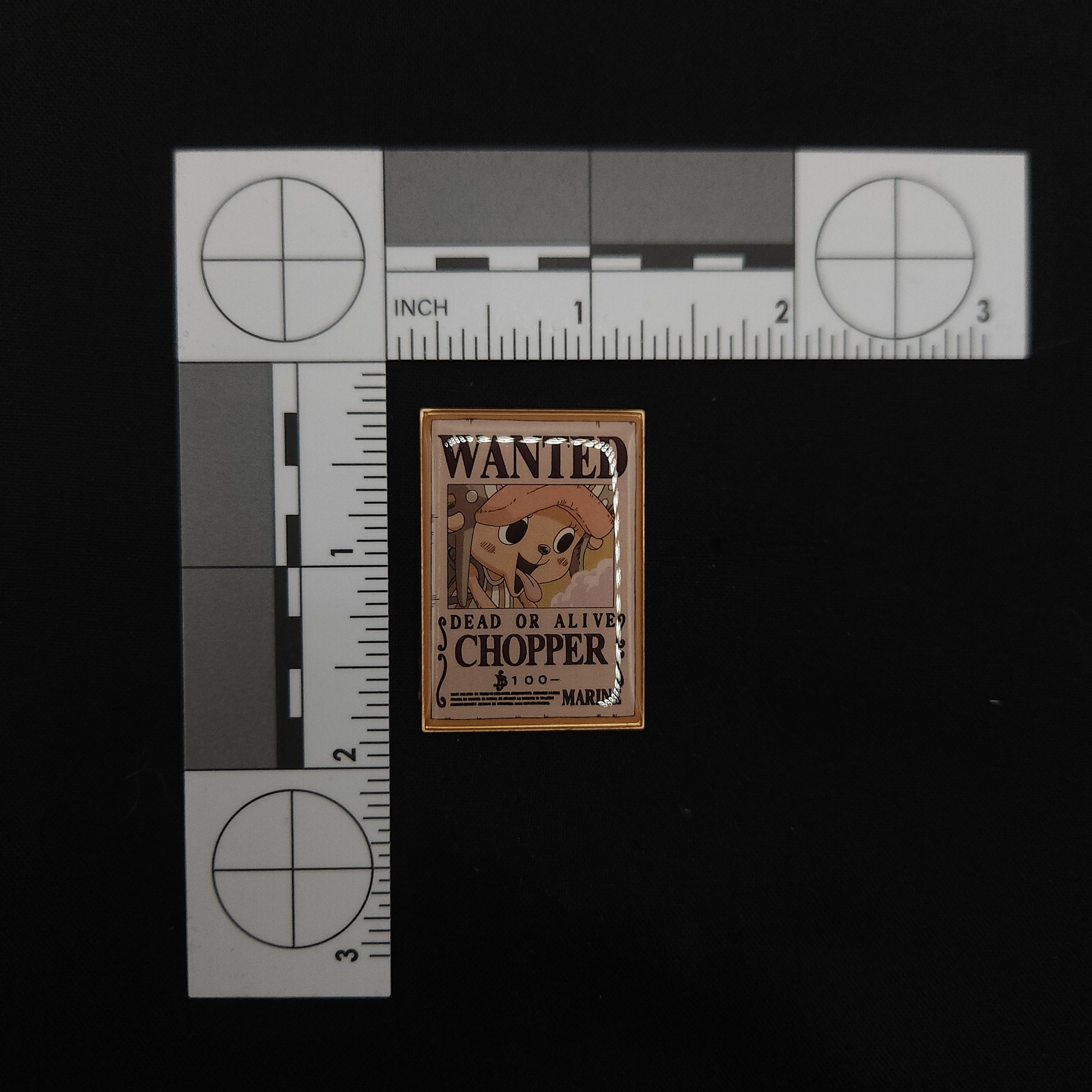 One Piece Chopper Wanted Poster Pin