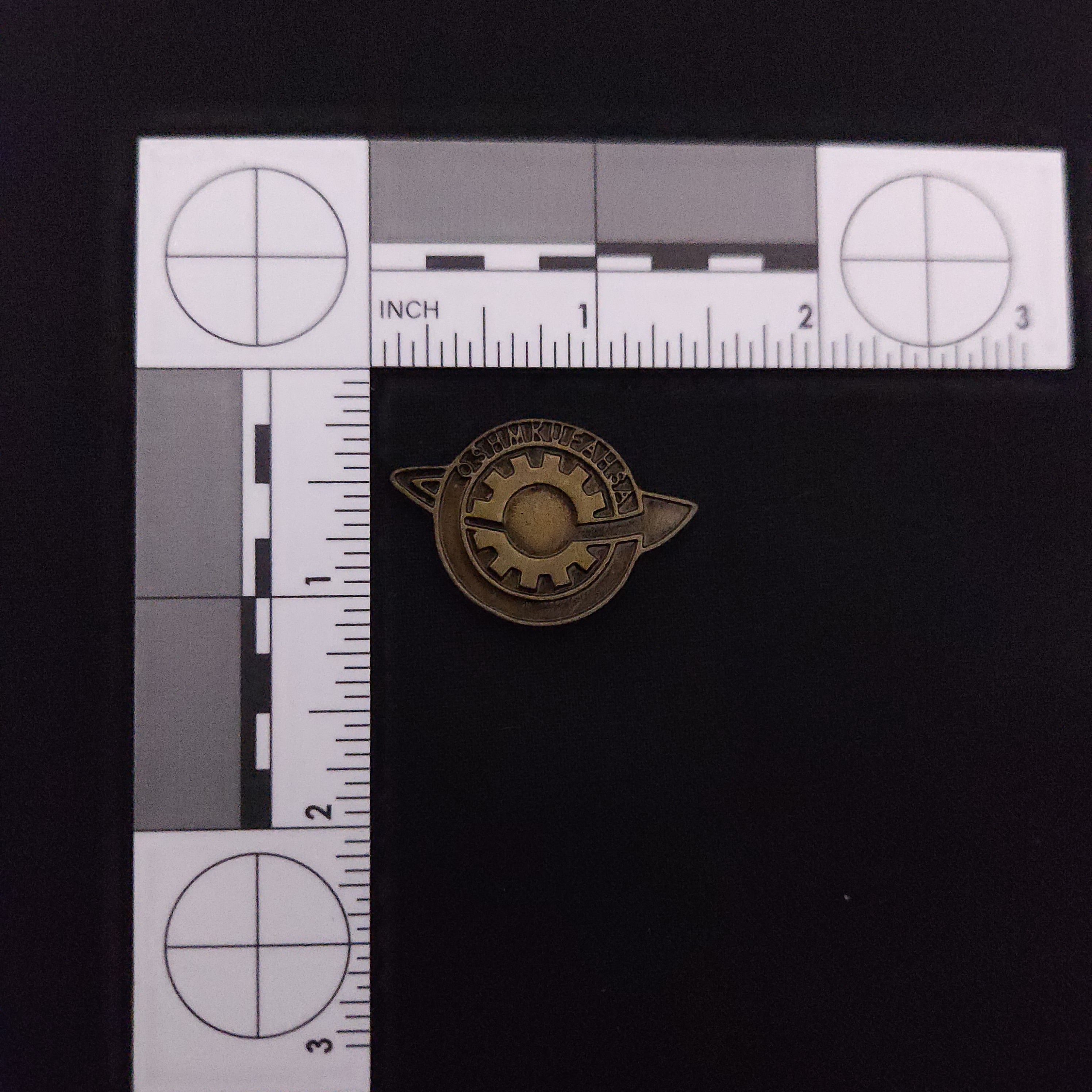 Steins Gate Lab Member Pin