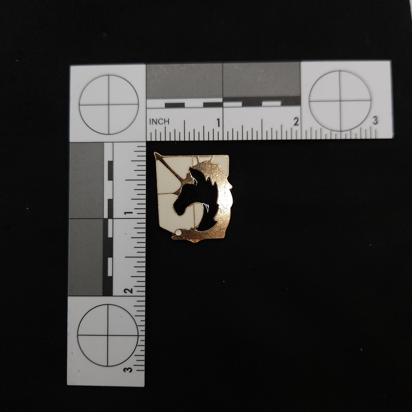 Attack on Titan White Military Branches Badges