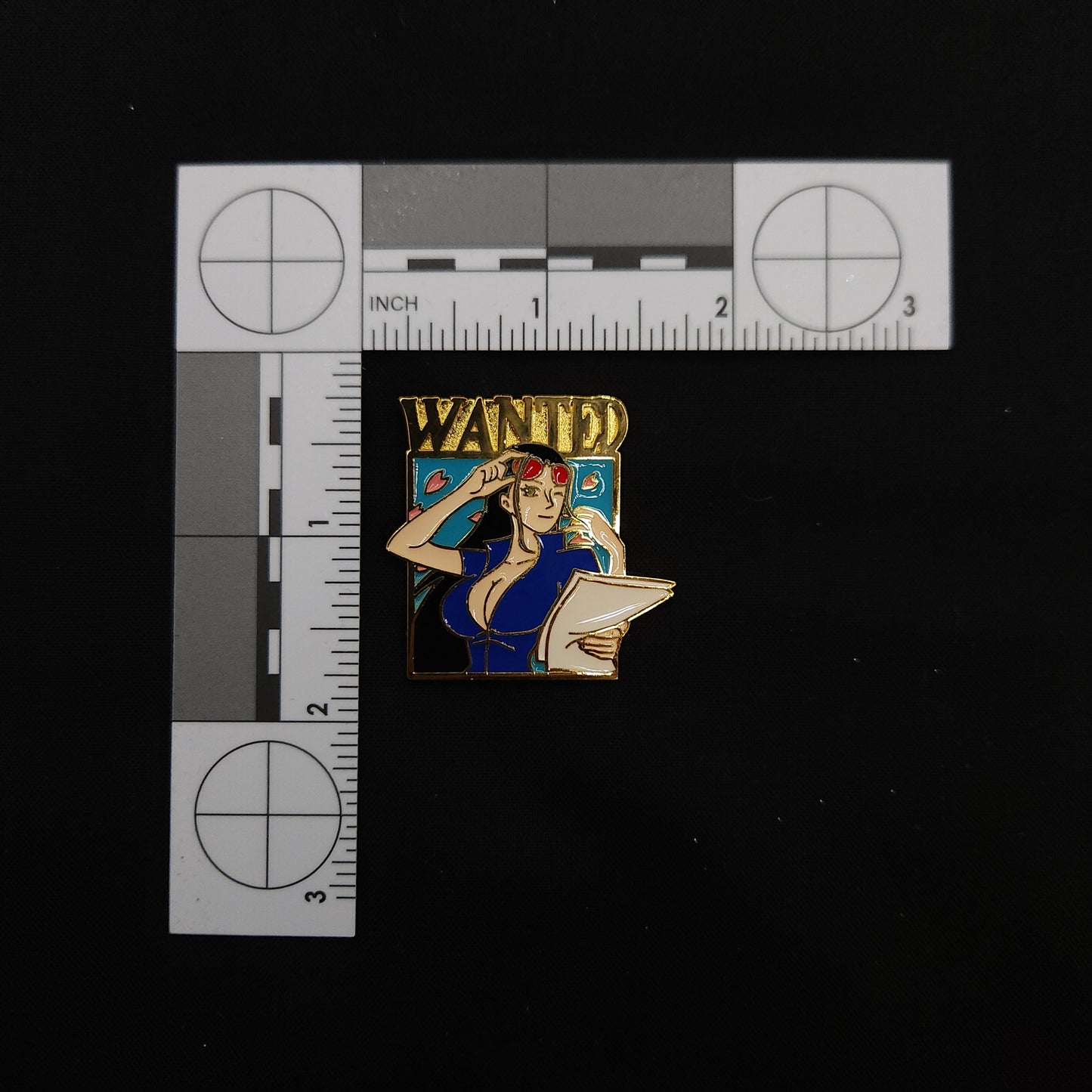 One Piece Wanted Pins