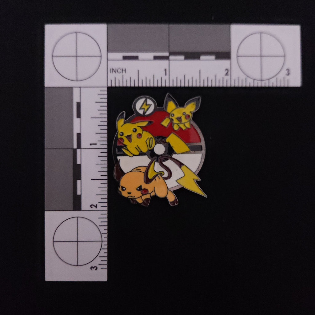 Pokemon Evolution Pin Set