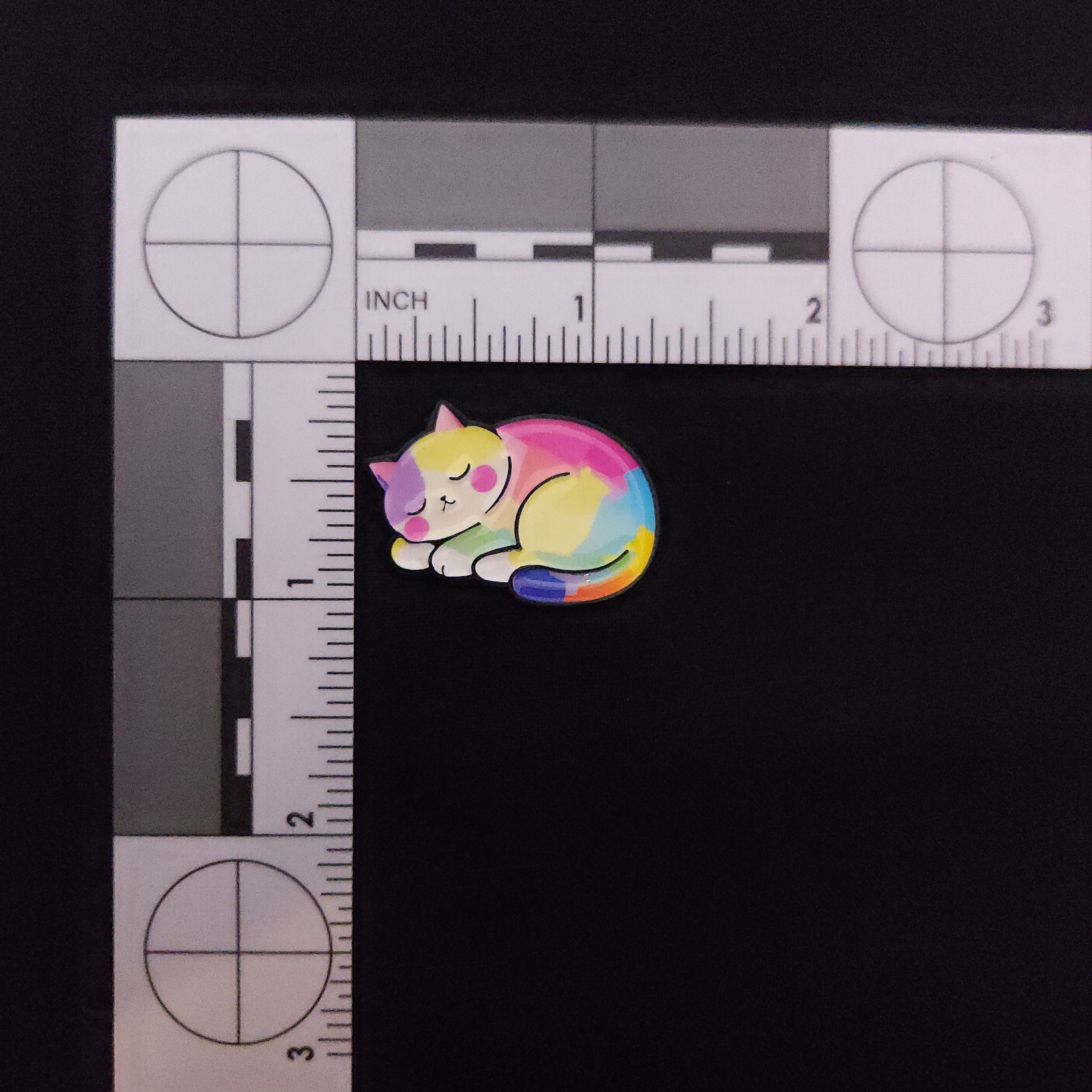 Cats Rainbow Cats Pin