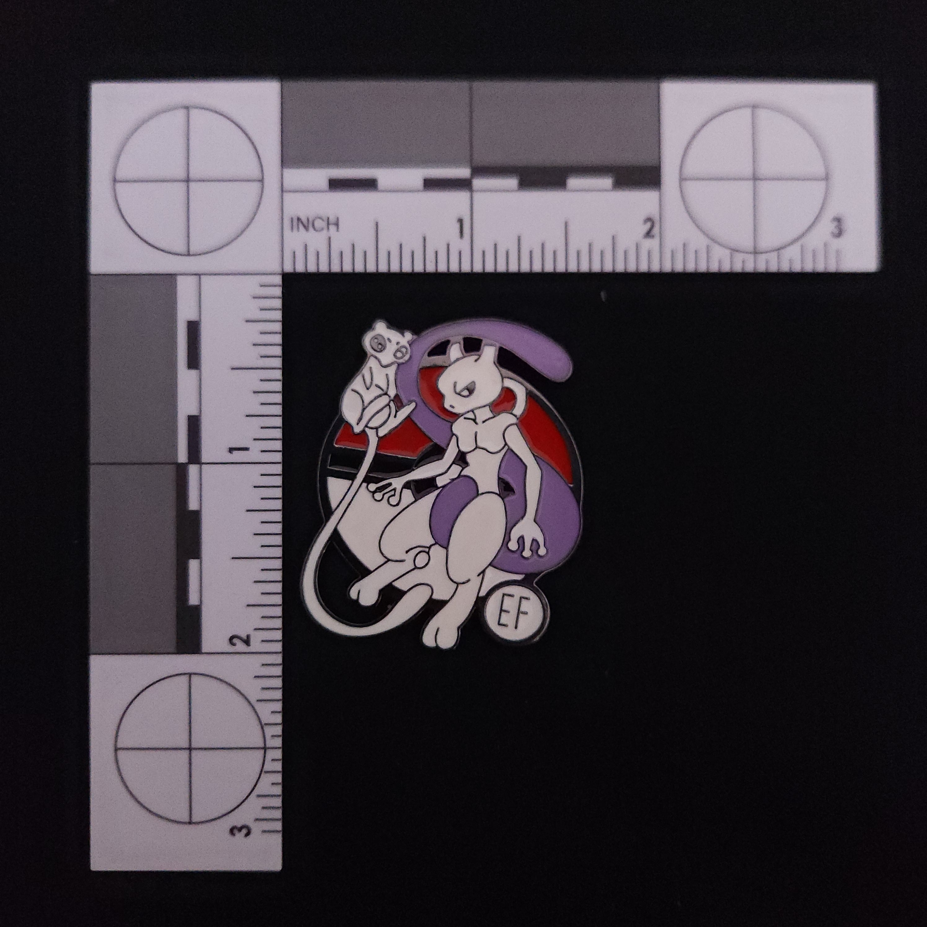 Pokemon Evolution Pin Set