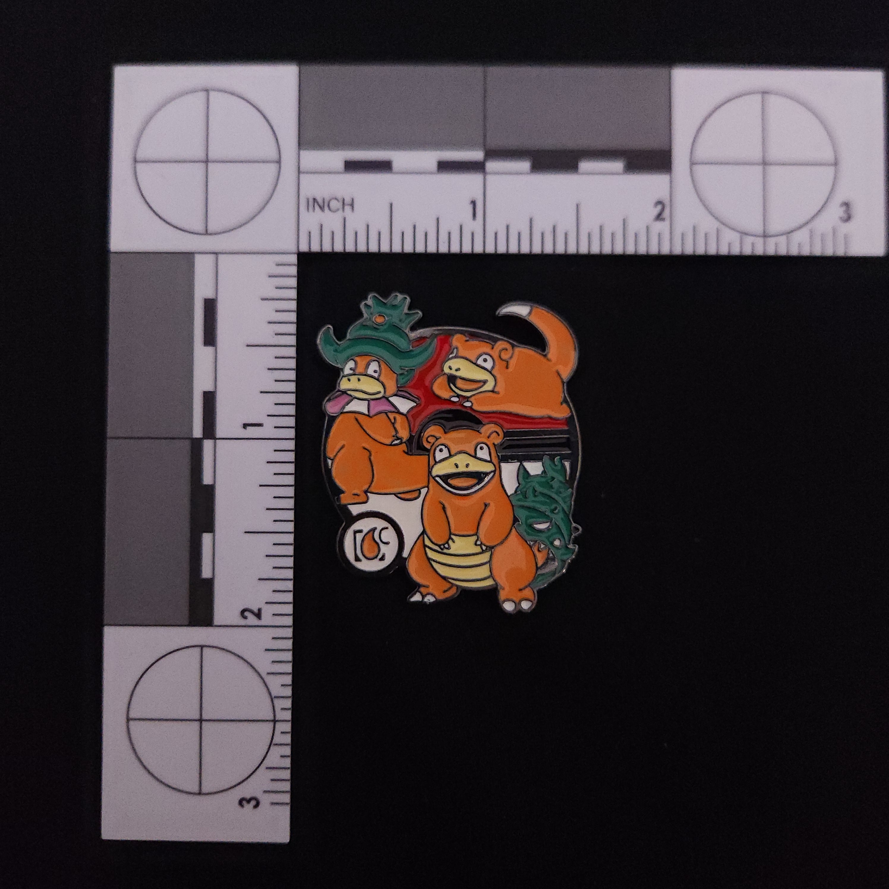 Pokemon Evolution Pin Set