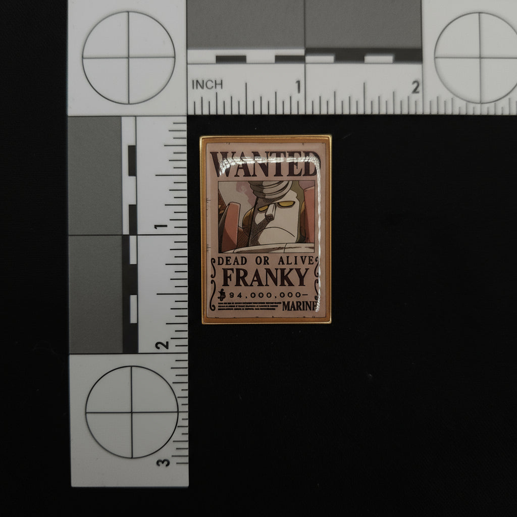 One Piece Franky Wanted Poster Pin
