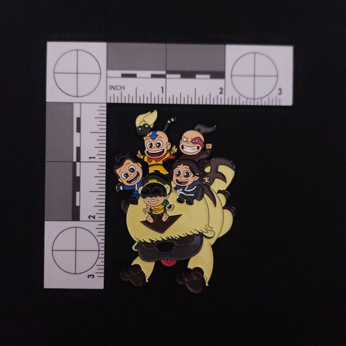 Avatar the Last Airbender Cute Appa and Gaang Pin
