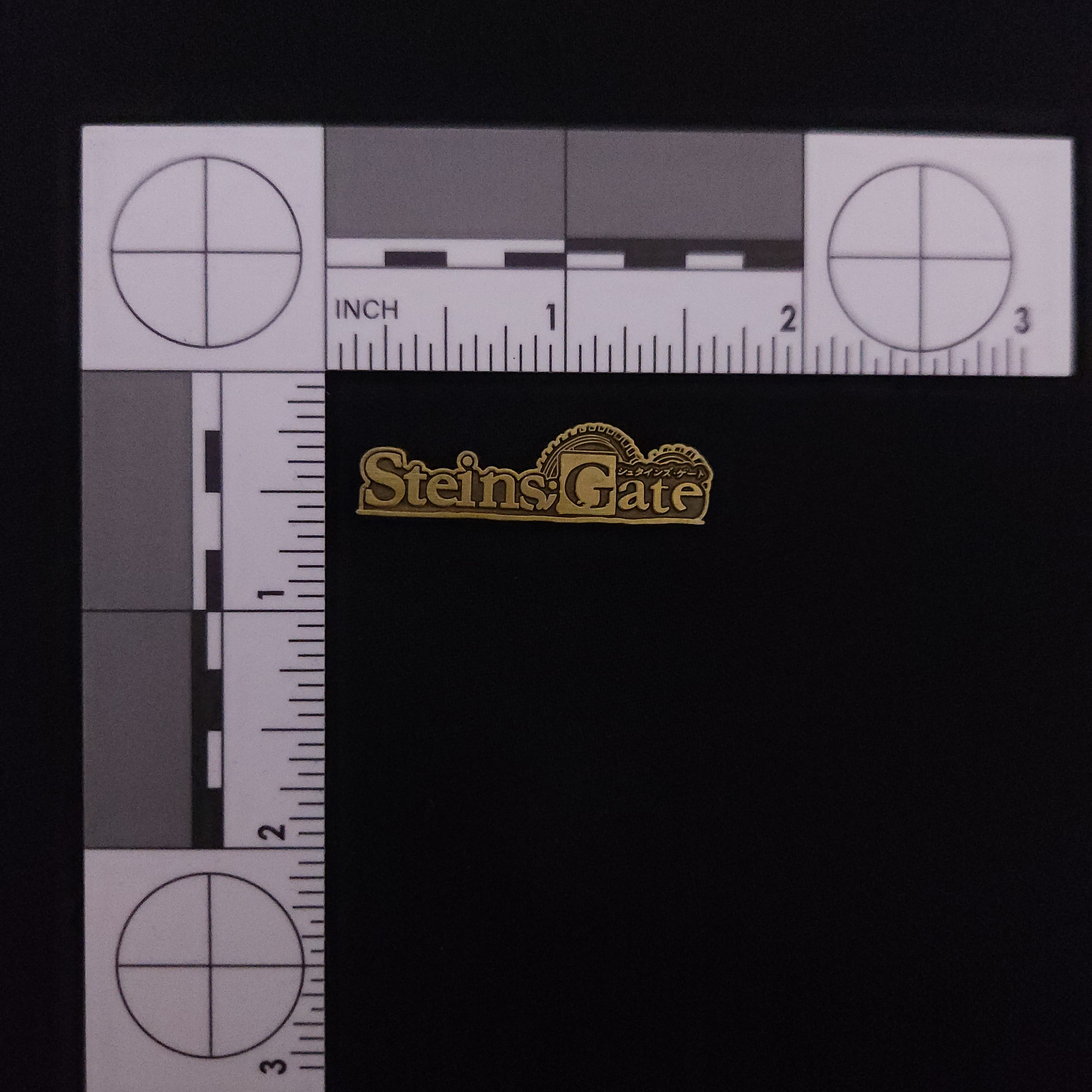 Steins Gate Steins Gate Logo Pin