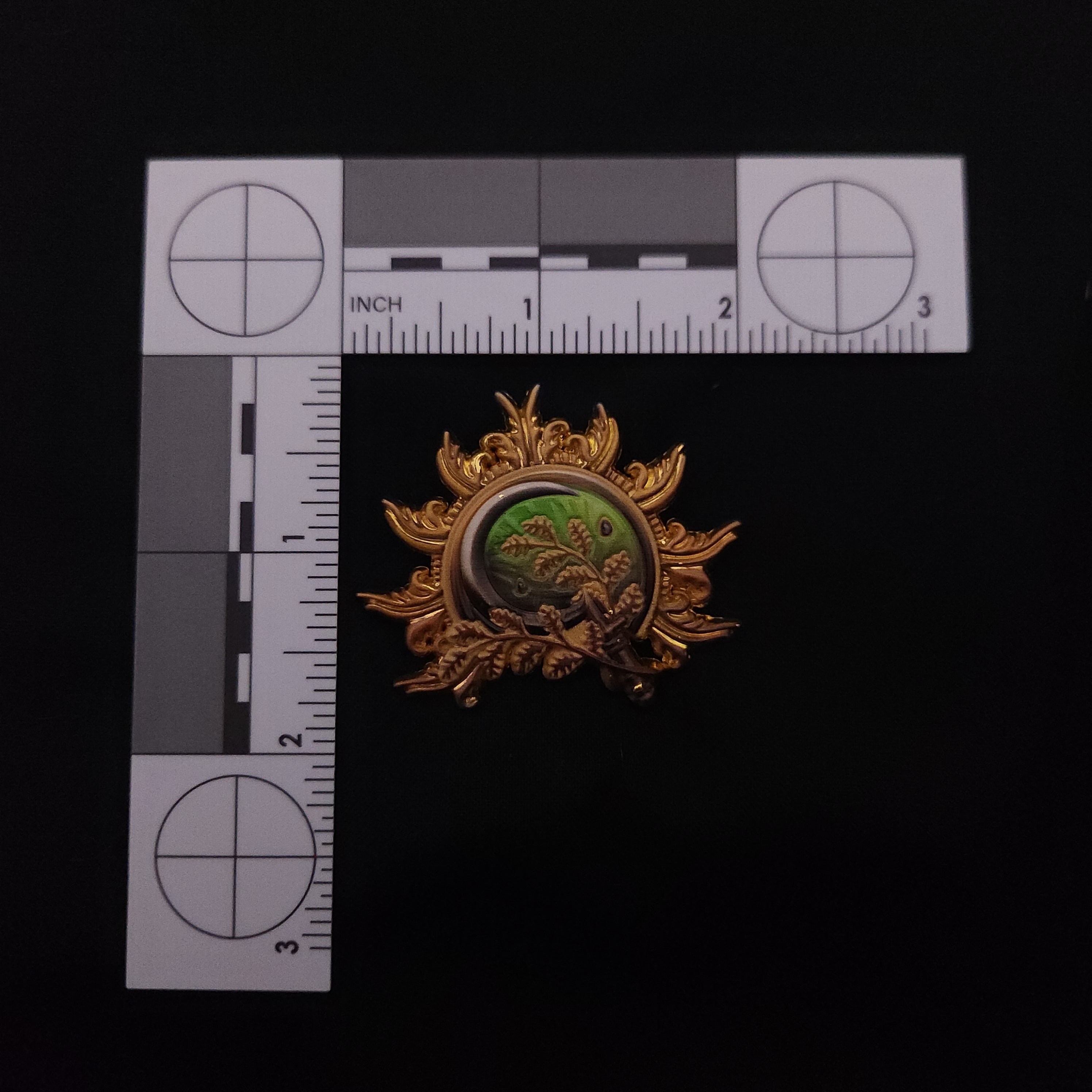 Baulder's Gate Classes Pins