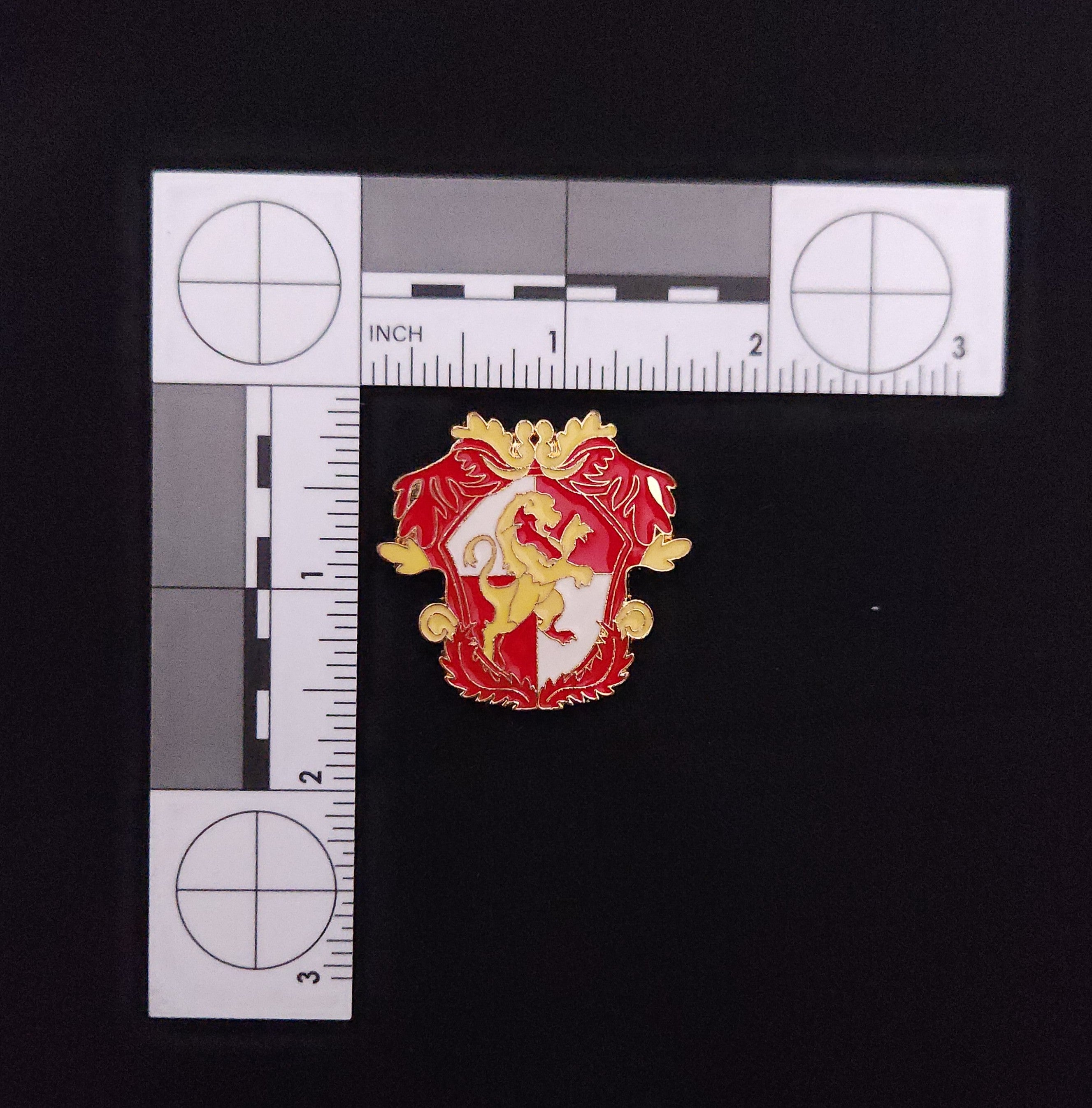 Harry Potter Gryfindor Pin