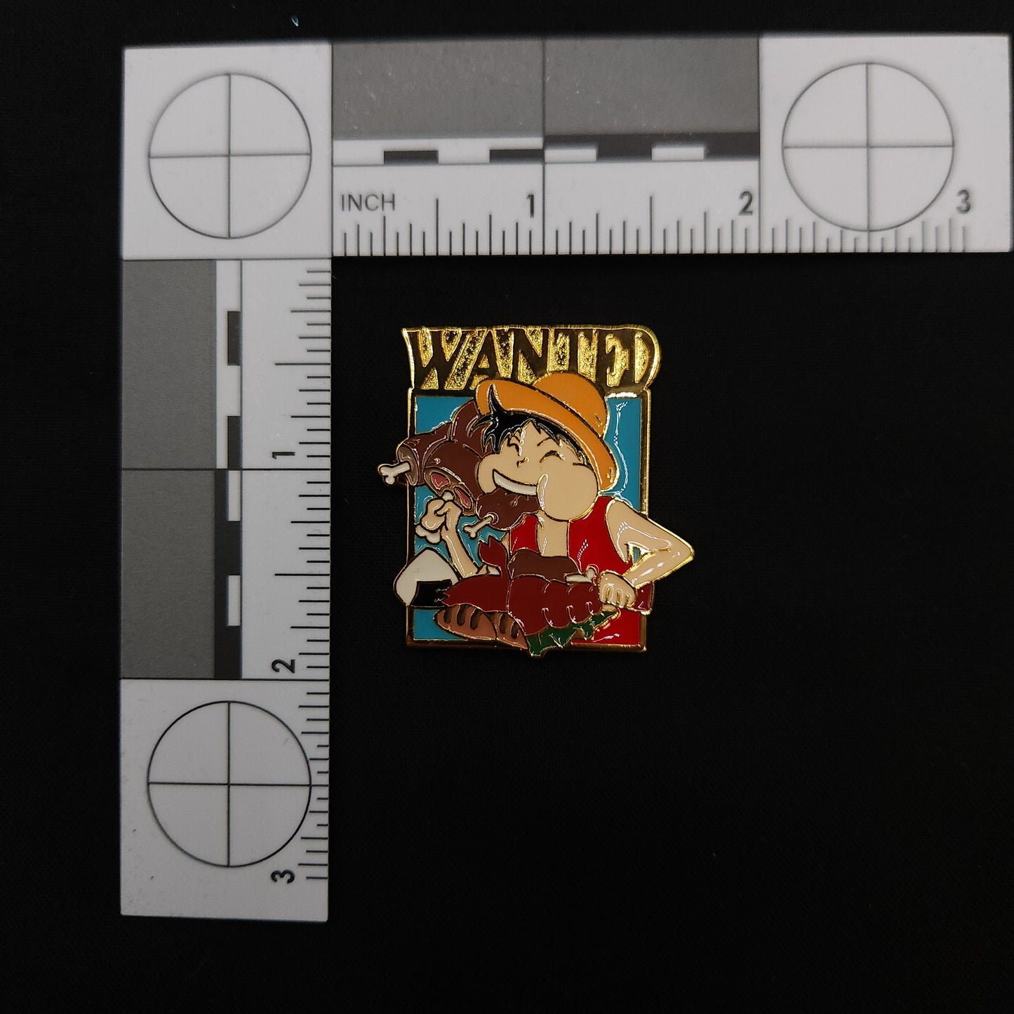One Piece Wanted Pins
