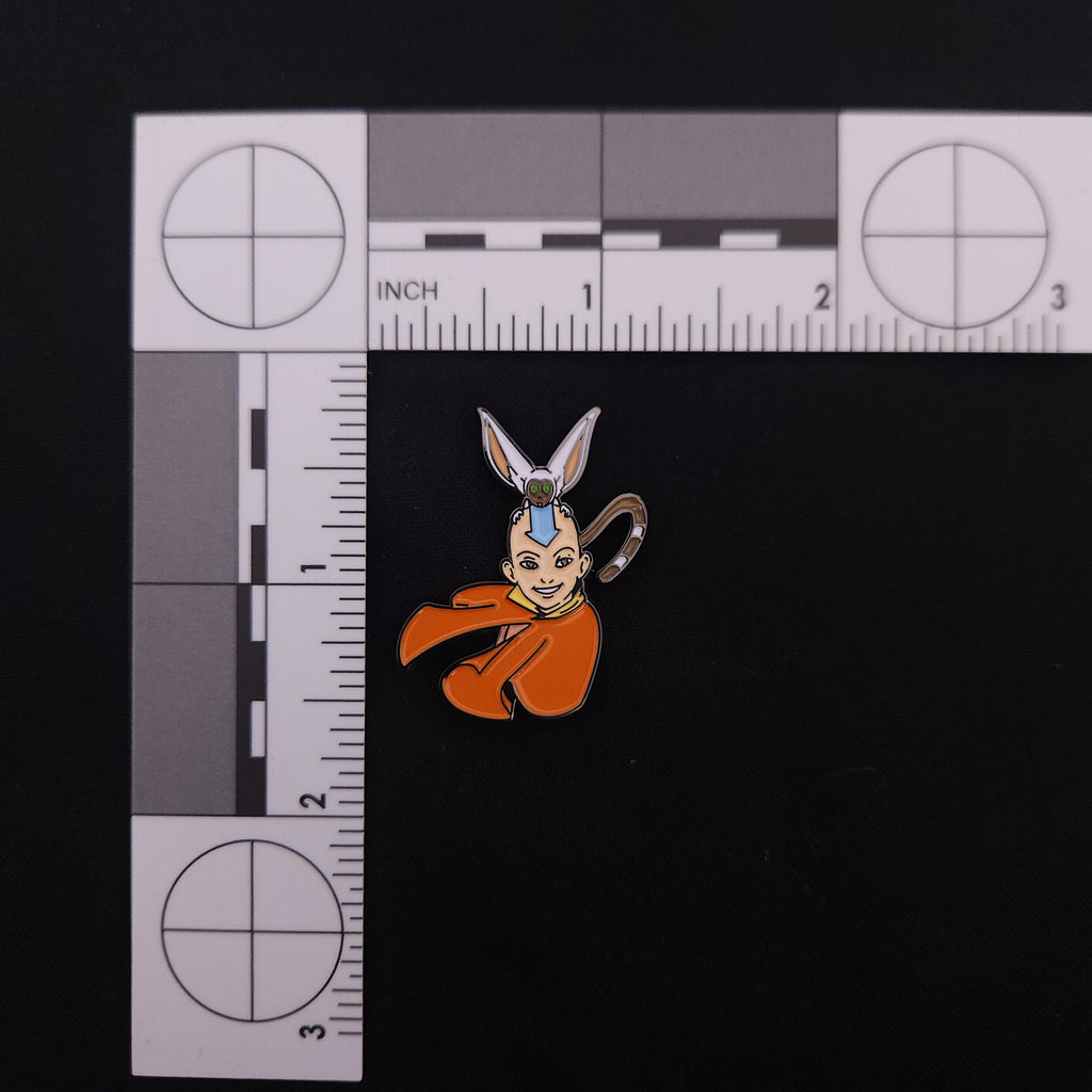 Avatar the Last Airbender Aang and Momo Pin